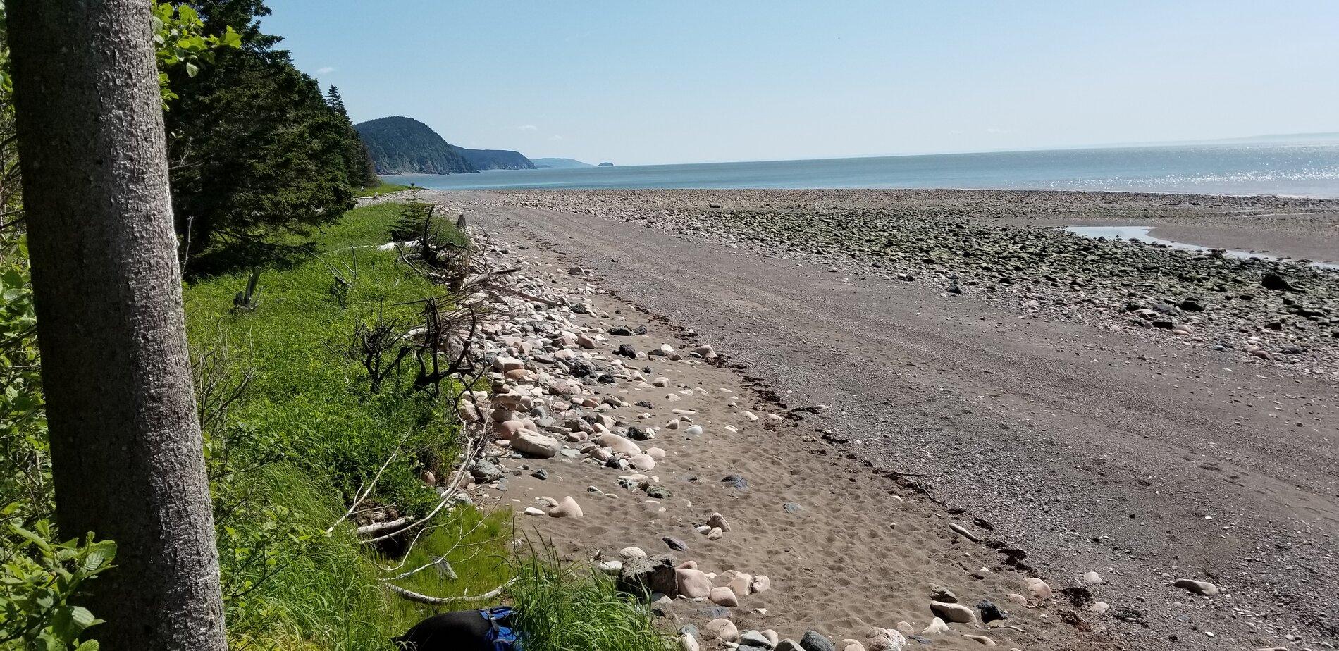 20190709_104919.jpg