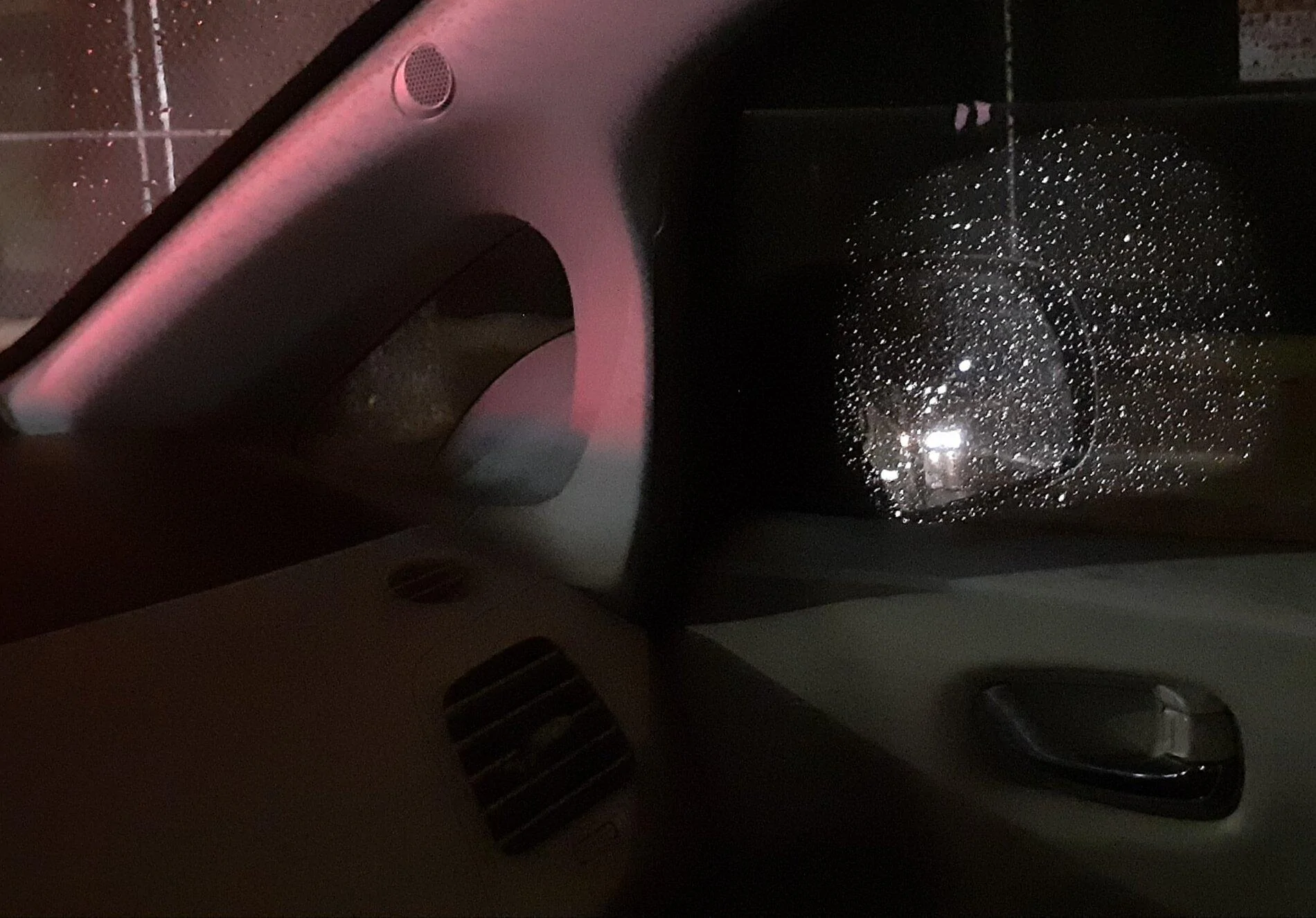 Tesla Cybertruck camera side mirror on leaf 20210126_183813