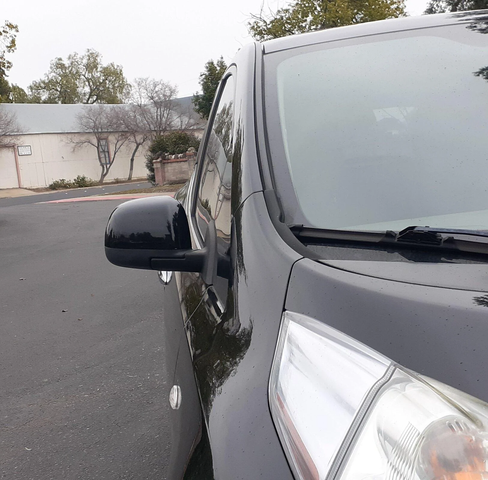Tesla Cybertruck camera side mirror on leaf 20210126_183725