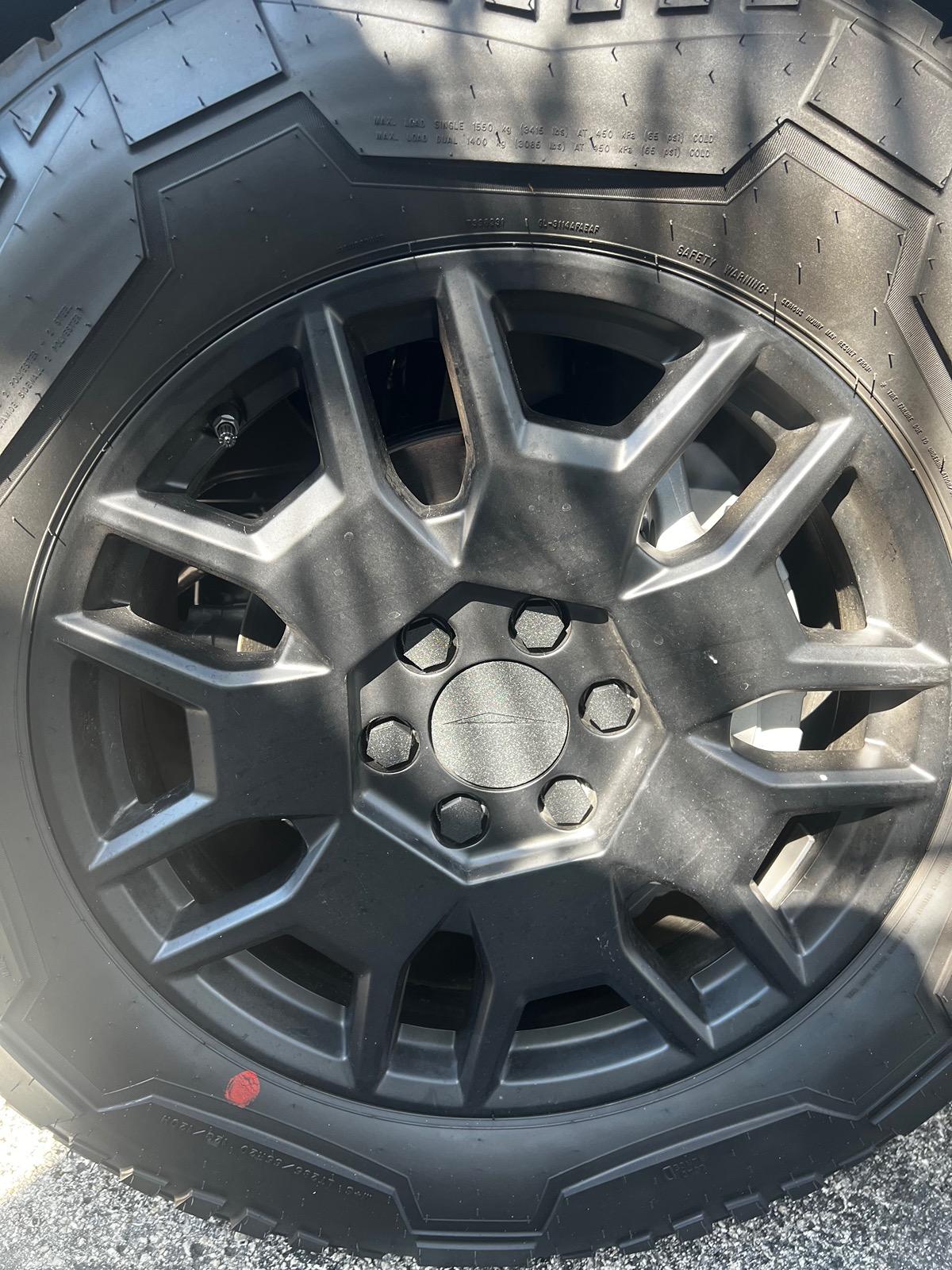 Tesla Cybertruck Items for the Wheels while I wait IMG_2374