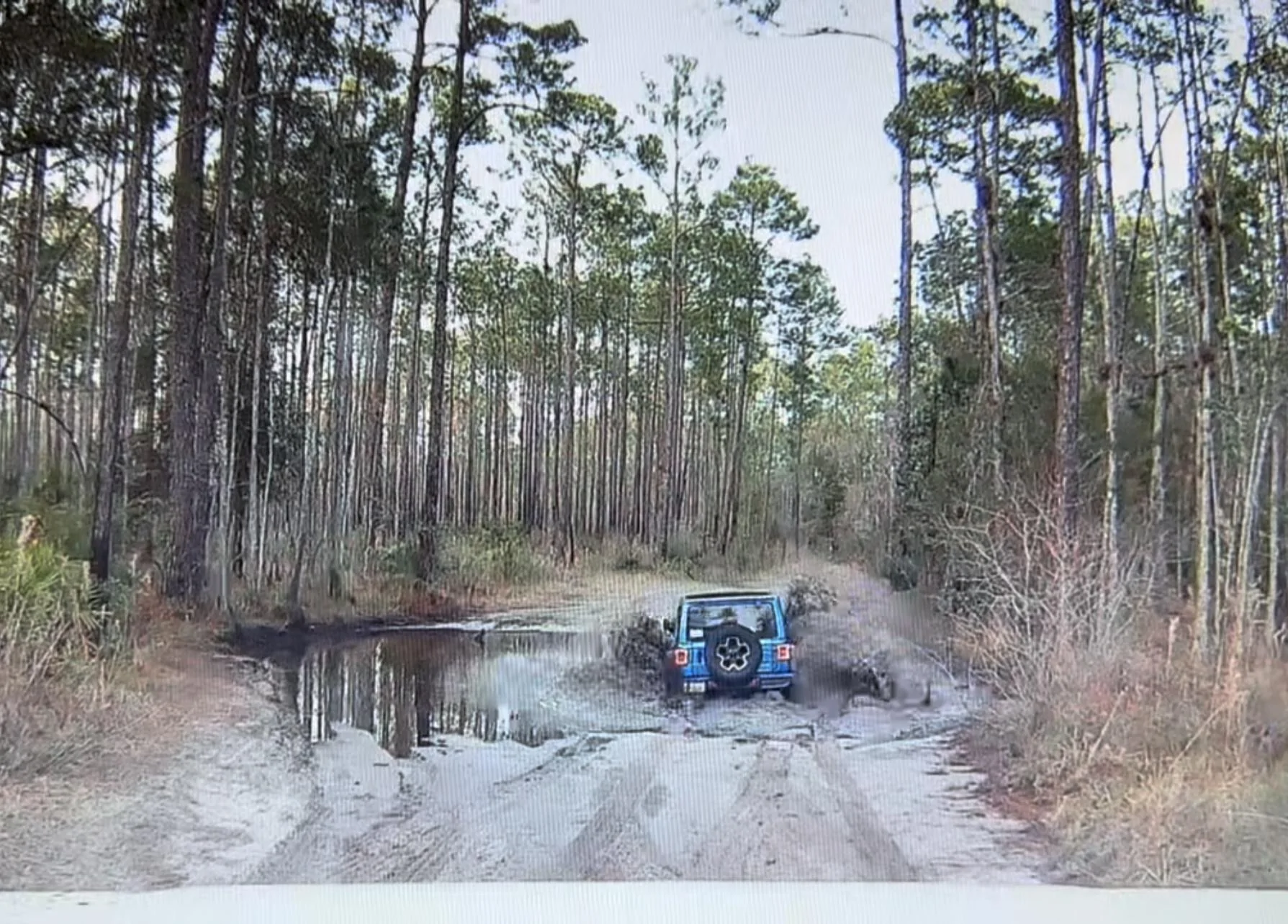 Tesla Cybertruck Offroad Video By Normal Guy IMG_1383