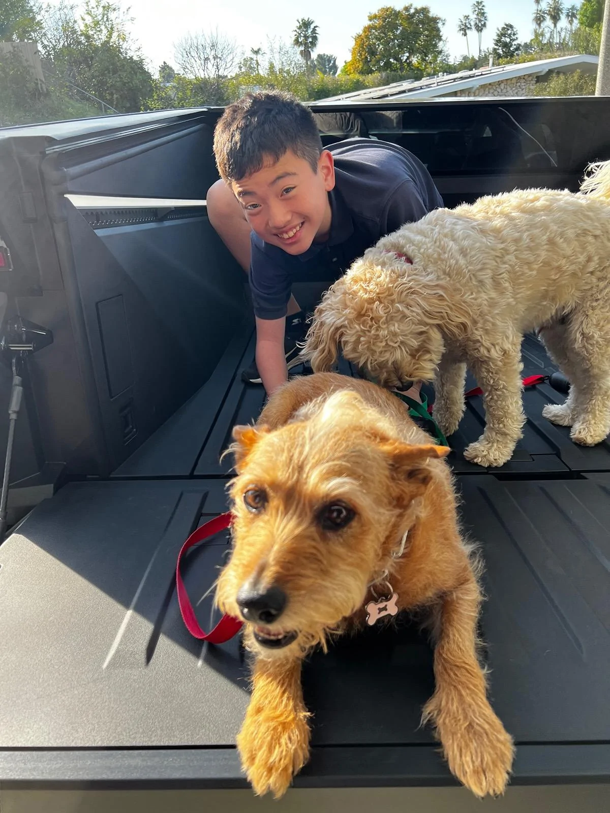 Tesla Cybertruck Show your Cybertruck Puppy 🐶, Cat 😺, llama, 🦙 or anything else. IMG_4237