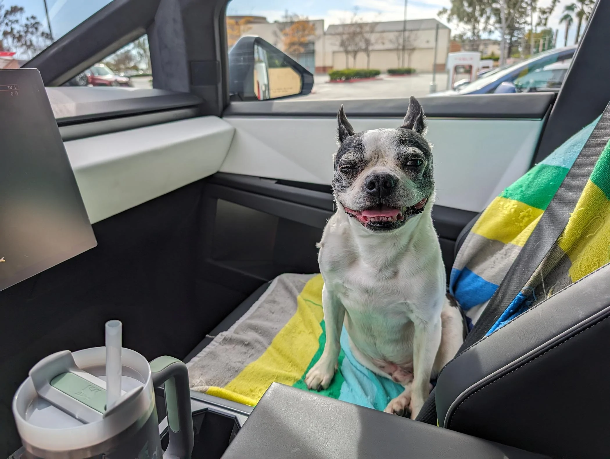 Tesla Cybertruck Show your Cybertruck Puppy 🐶, Cat 😺, llama, 🦙 or anything else. PXL_20240324_231431163