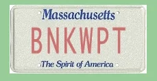 Tesla Cybertruck Custom license plate / vanity plate name for your Cybertruck? 1711370781404-