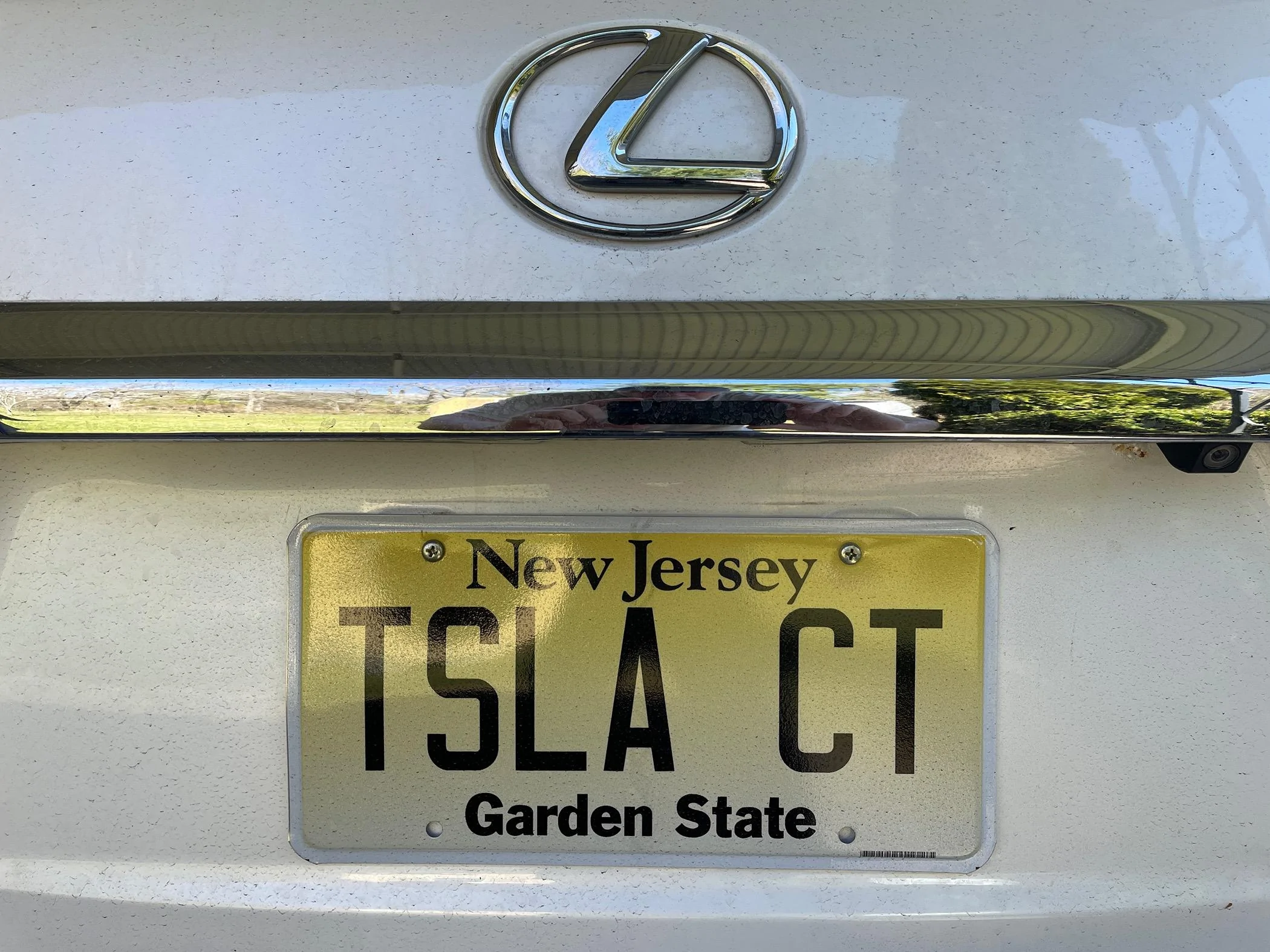Tesla Cybertruck Custom license plate / vanity plate name for your Cybertruck? IMG_2126