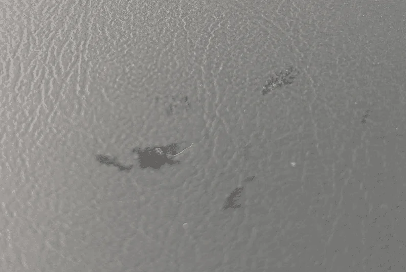 Tesla Cybertruck Second truck with more scratches, scrapes, pitting(?), sounds and other small issues. Nl7i8ZEmrgdWUXnjrNPJXlWyrn8Exb-gxBYs3vKceIeABEqJzU