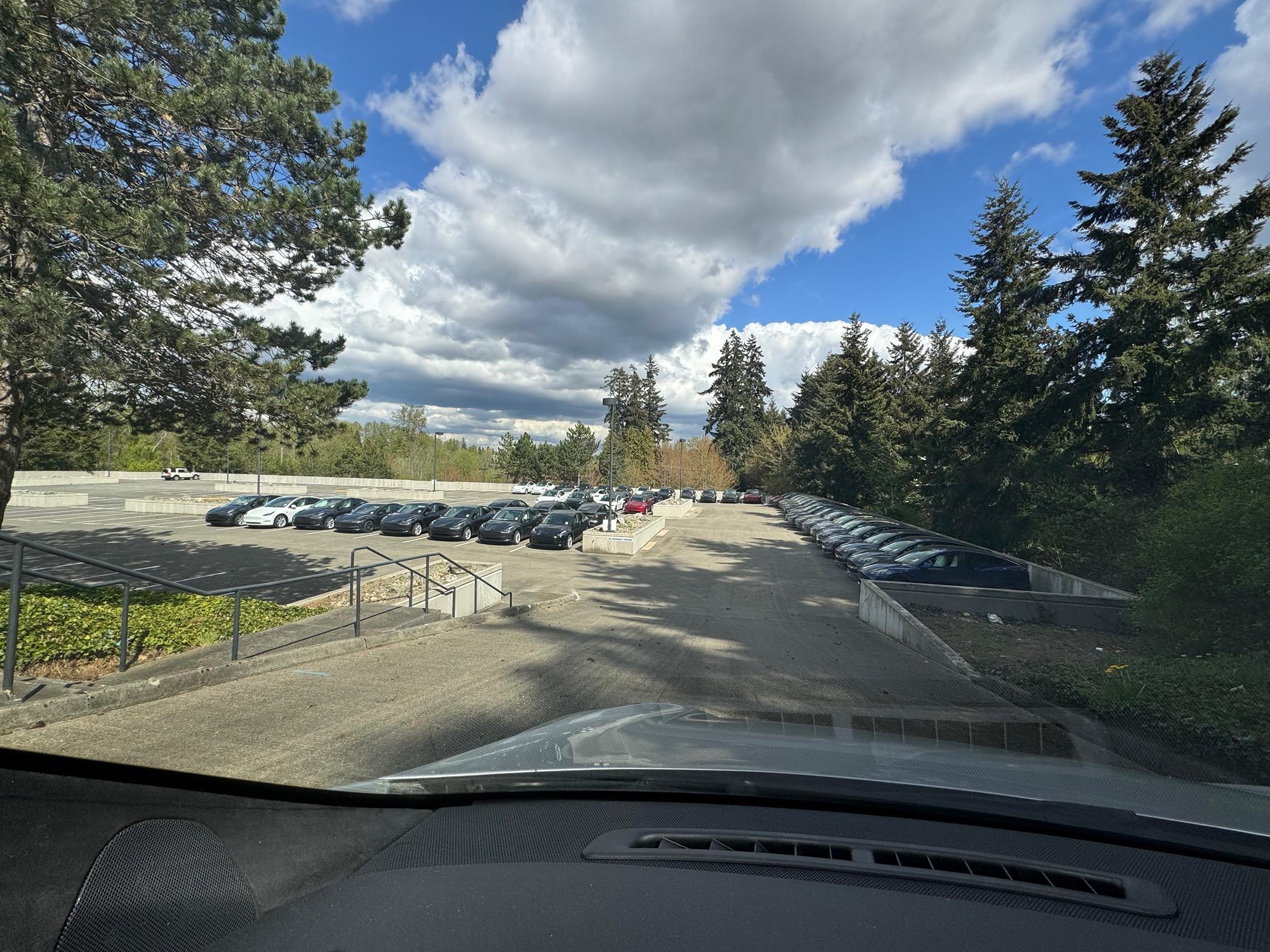 Tesla Cybertruck WA waiting game IMG_4975