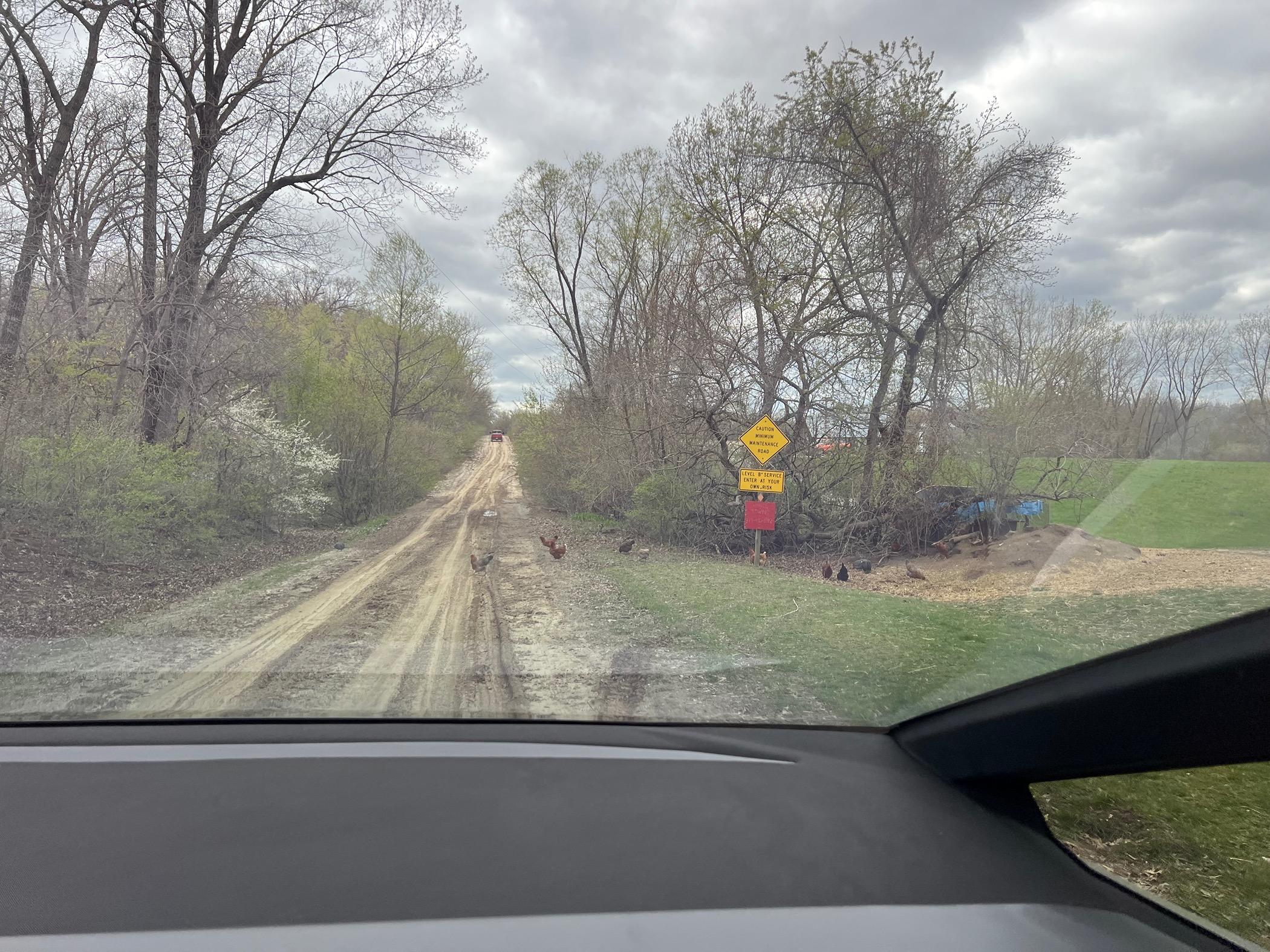 Tesla Cybertruck Multi Tesla (and now Cybertruck) owner review - including off road modes IMG_0332