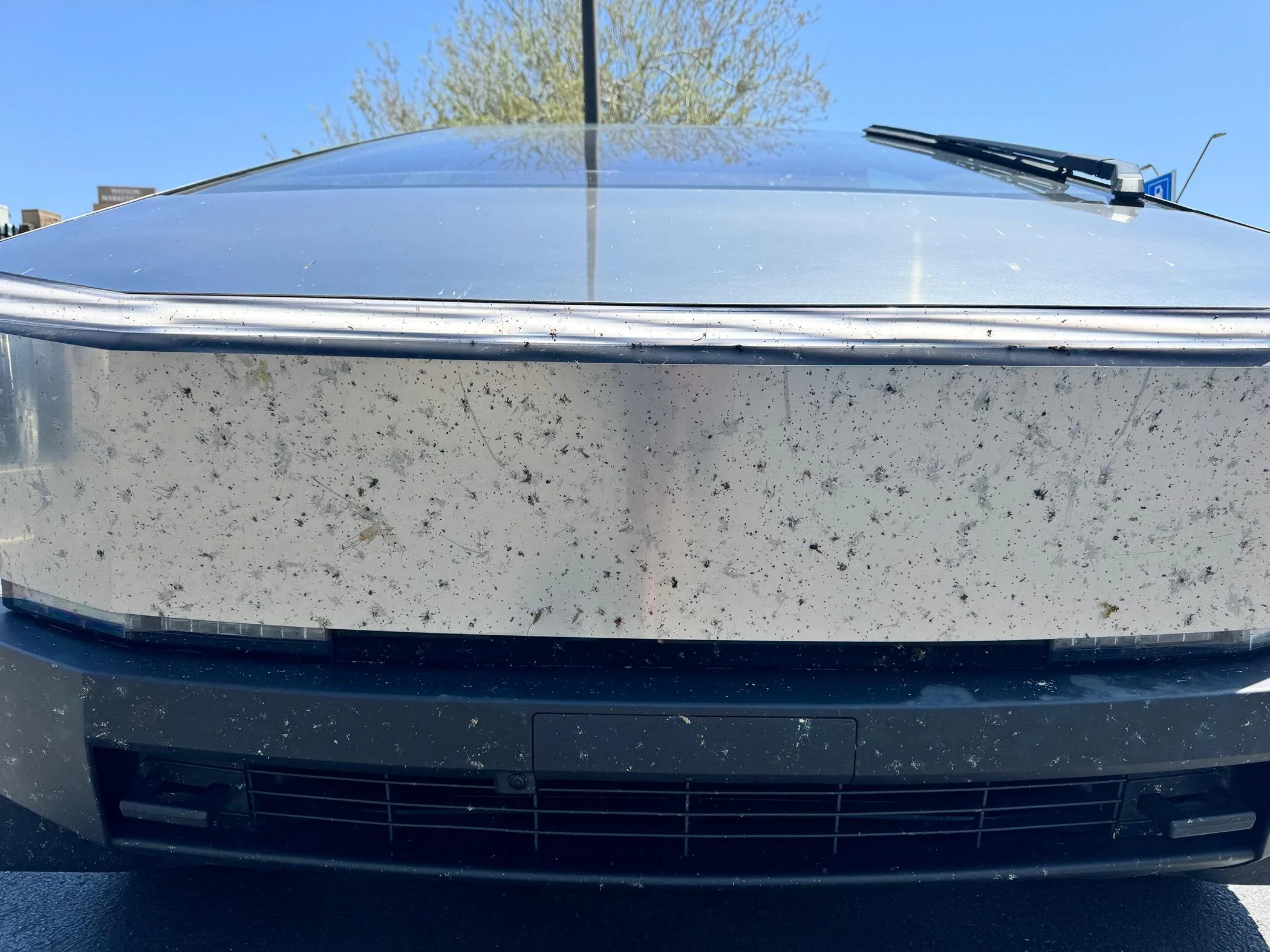 Tesla Cybertruck Bug-Mageddon! Need some quick bugs washing advice. IMG_4681
