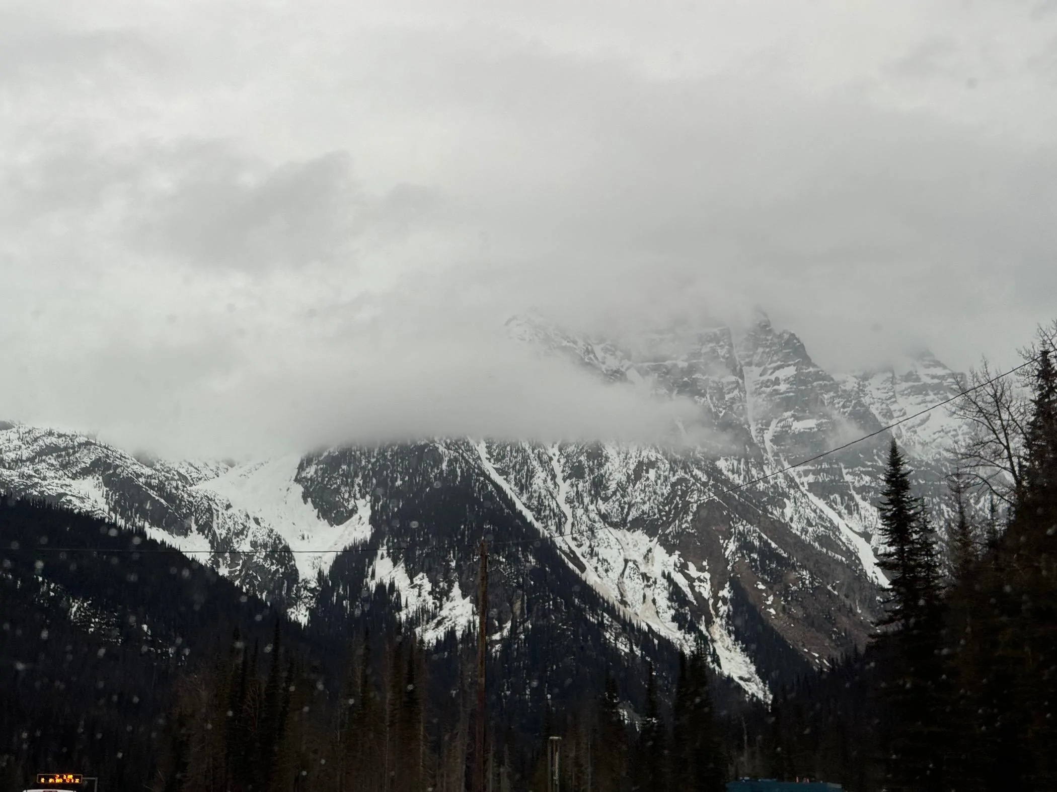 IMG_1297.jpeg