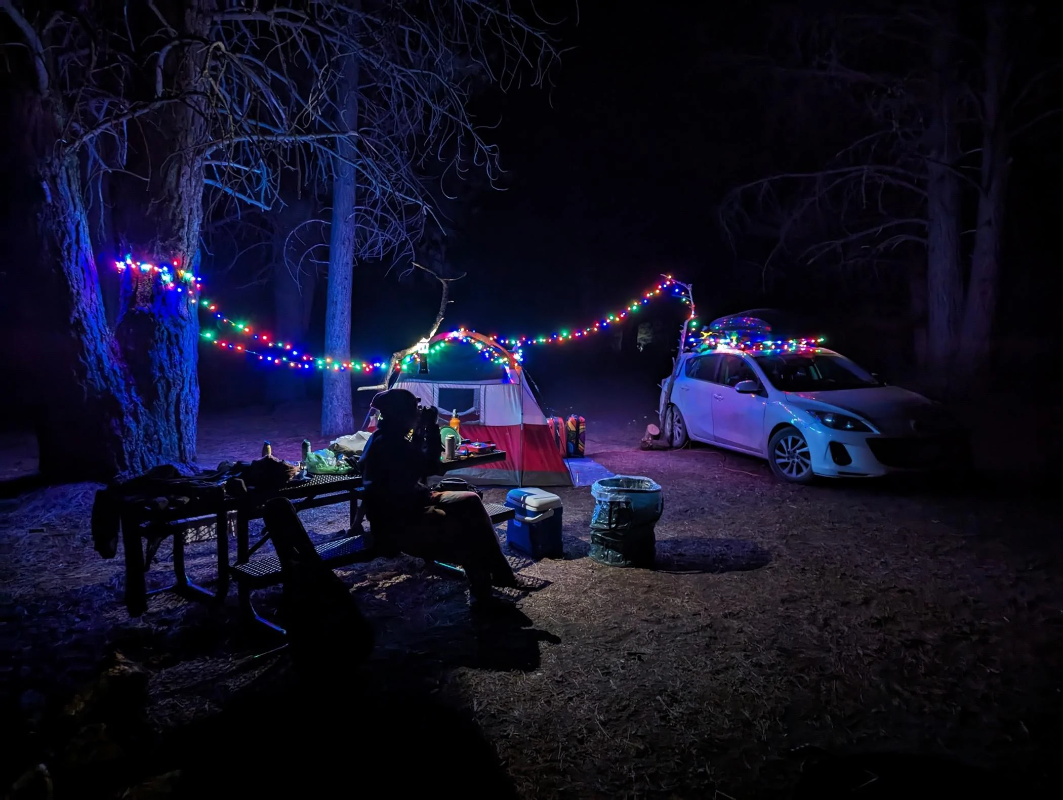 Tesla Cybertruck Cyberlandr Install PXL_20230816_043425919.NIGHT