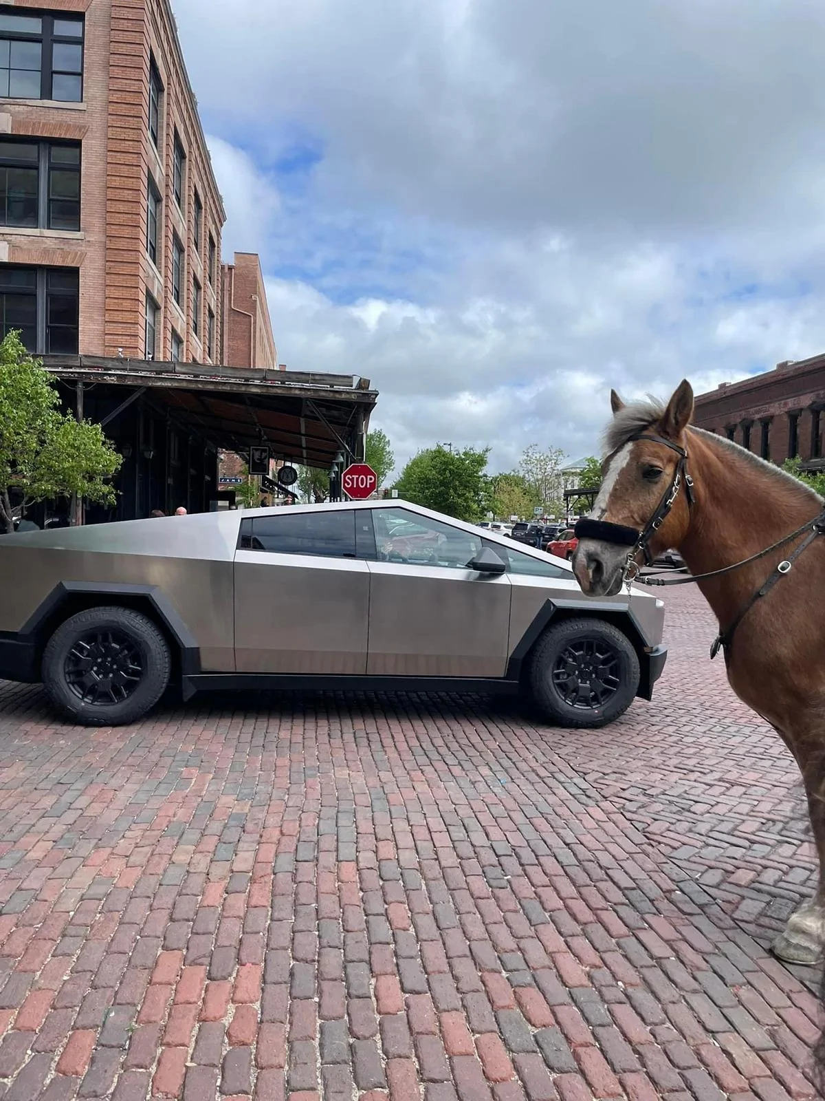 Tesla Cybertruck Daily random Cybertruck photos thread - Post Yours! 📸 🤳 468E4175-B561-4C84-8204-20D2B91A72AD