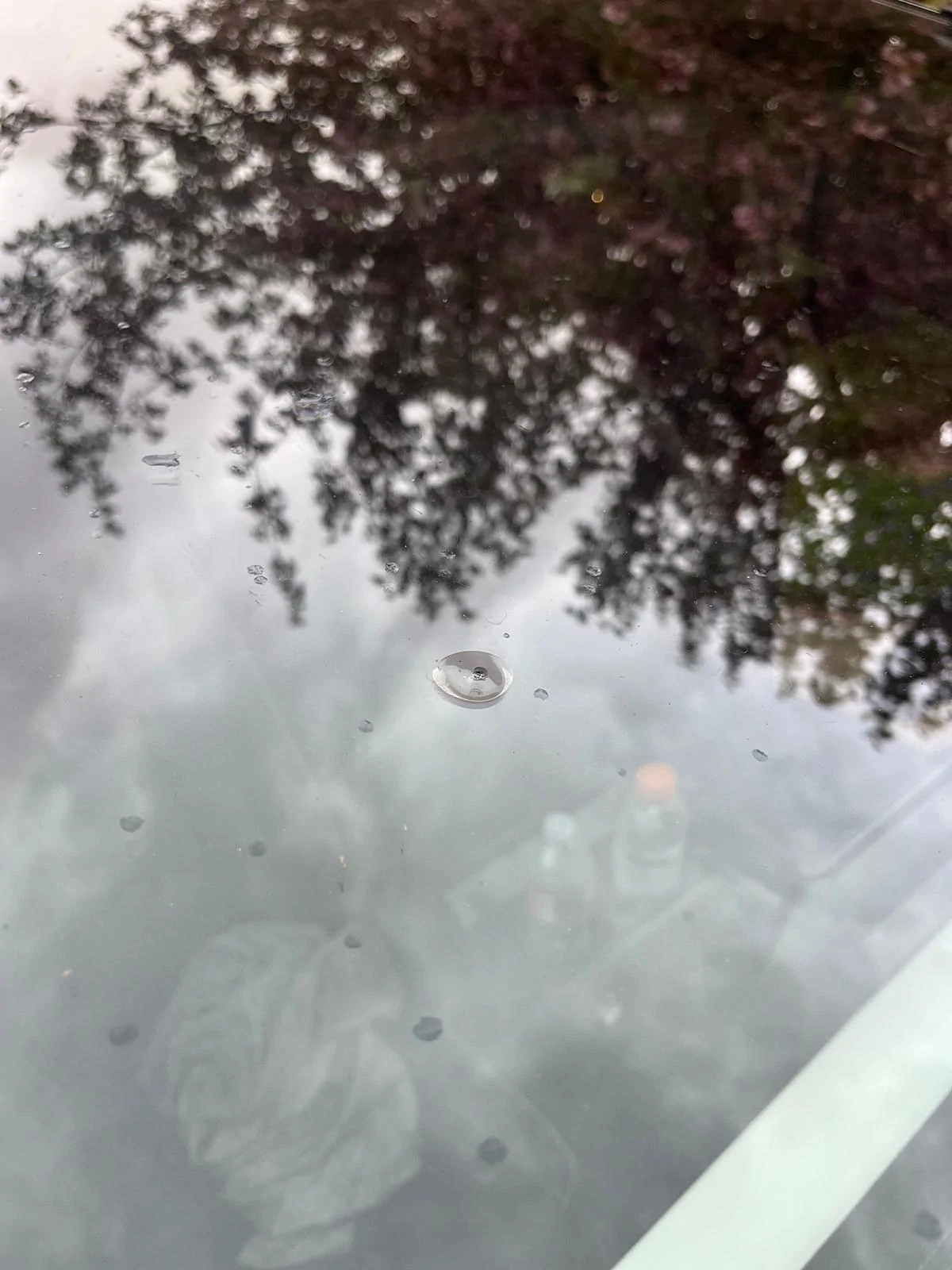 Tesla Cybertruck Windshield Repair - Anyone had one replaced yet? IMG_5956