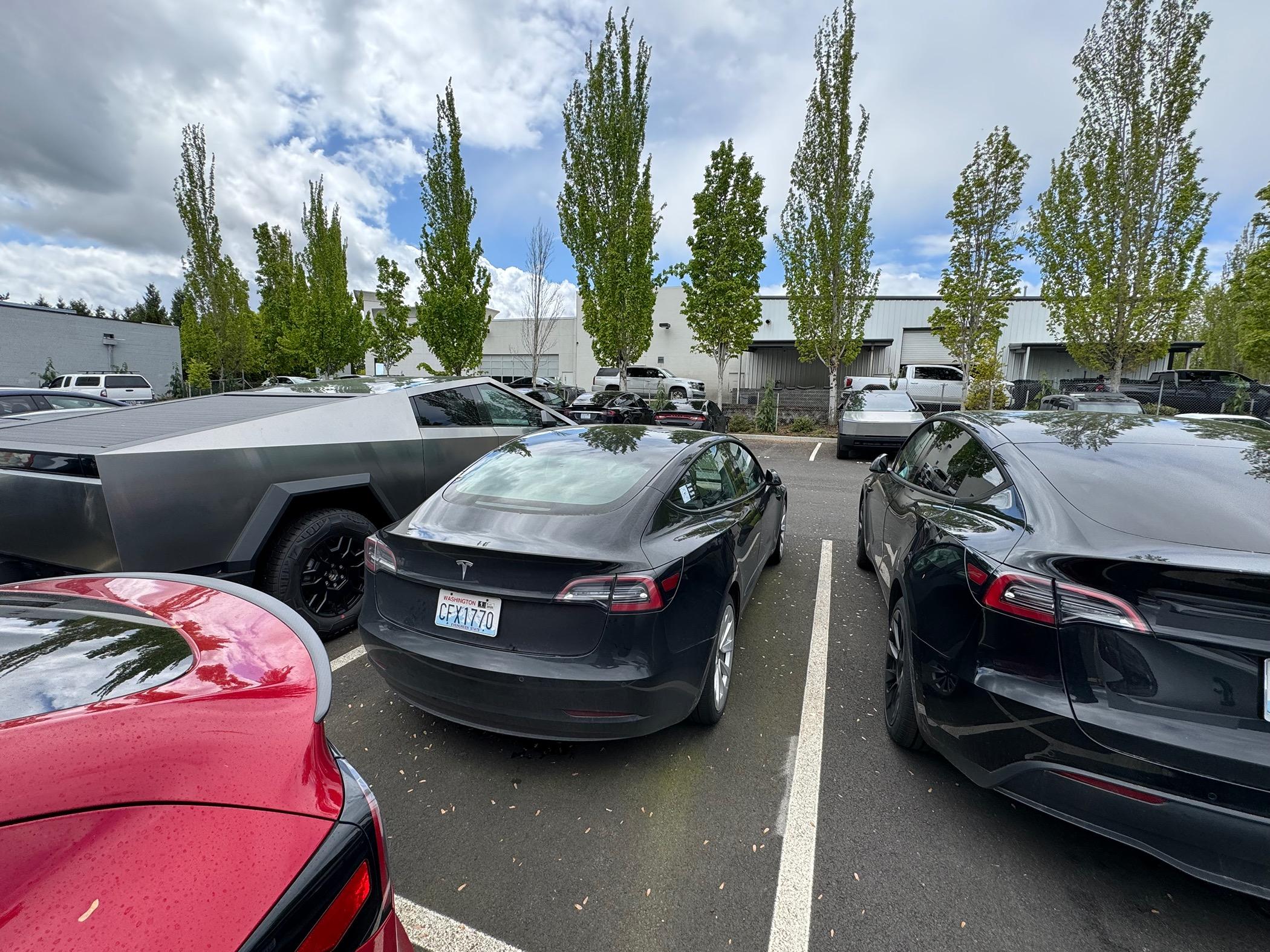 Tesla Cybertruck WA waiting game IMG_2457