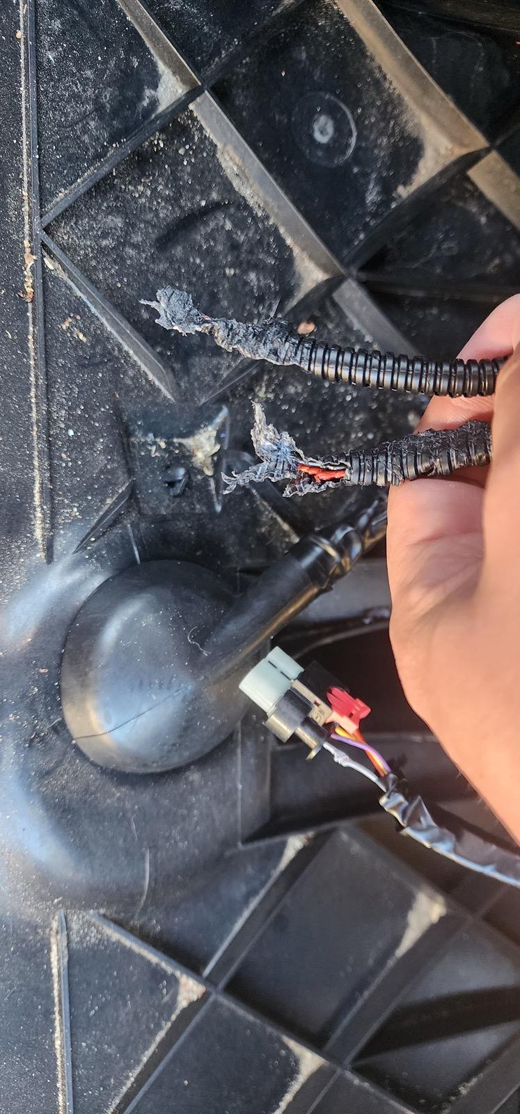 Tesla Cybertruck Safety Restraint System Issue - Service required 20231208_081200_Original