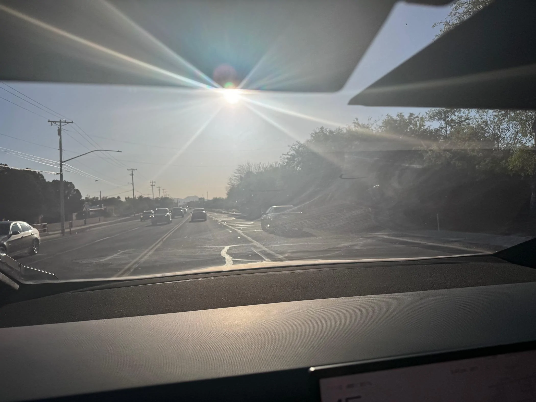 IMG_2707.jpeg