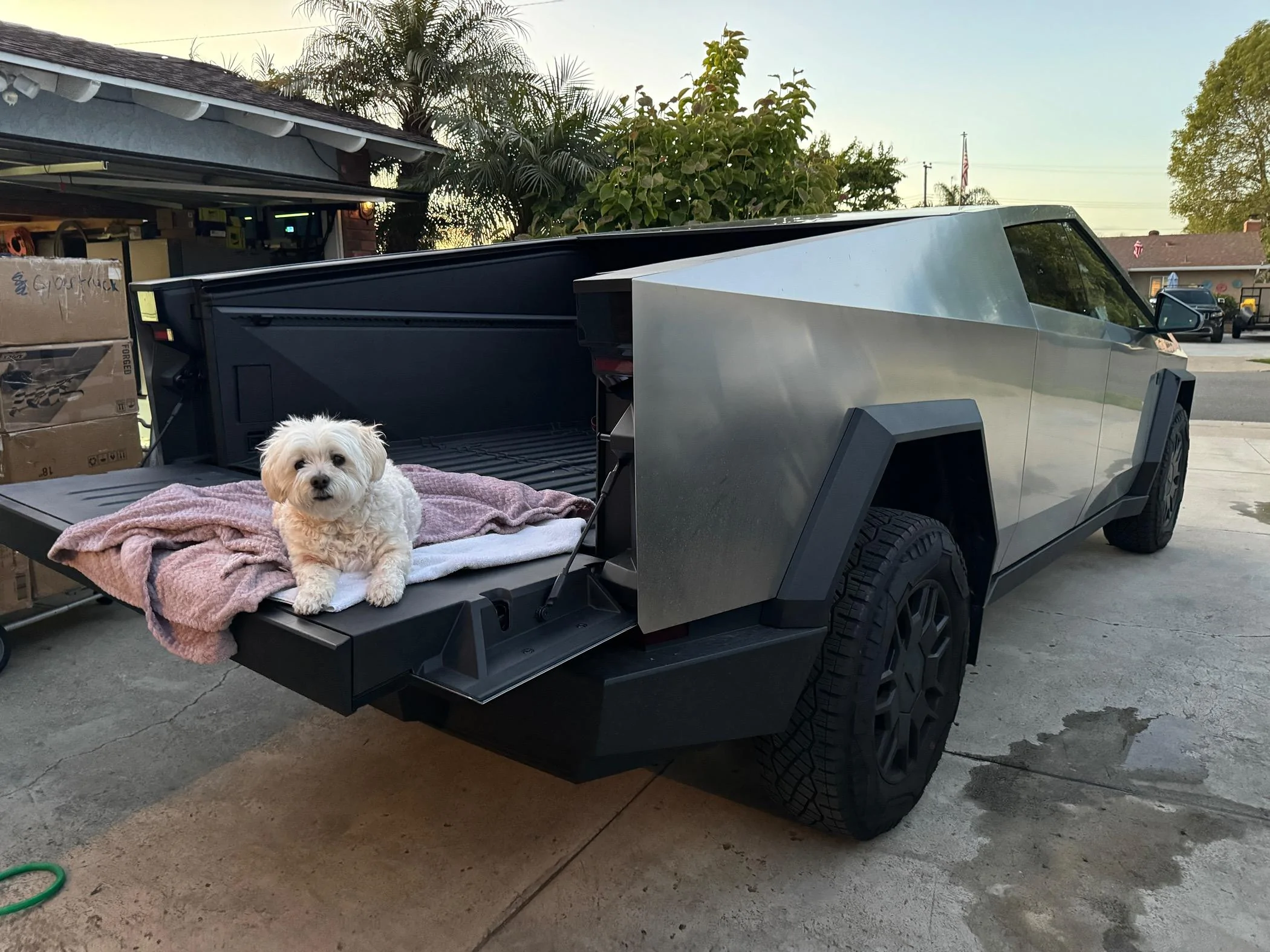 Tesla Cybertruck Daily random Cybertruck photos thread - Post Yours! 📸 🤳 IMG_4937