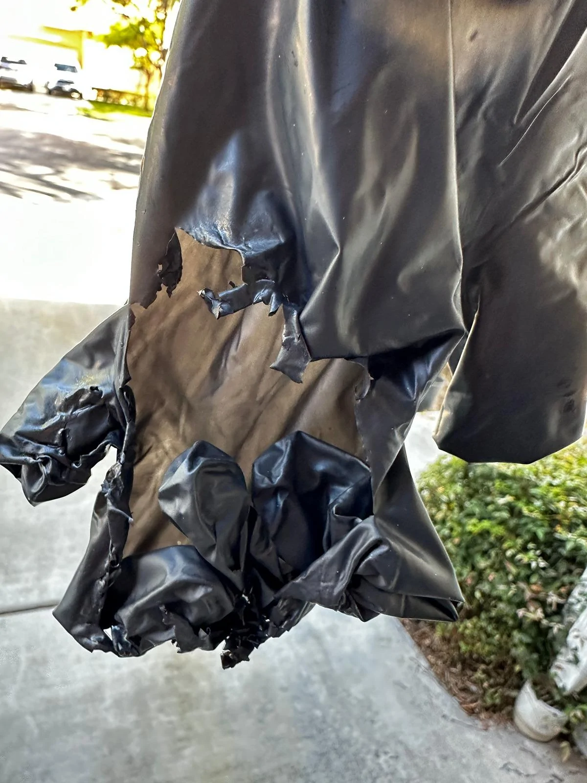 gloves.JPG