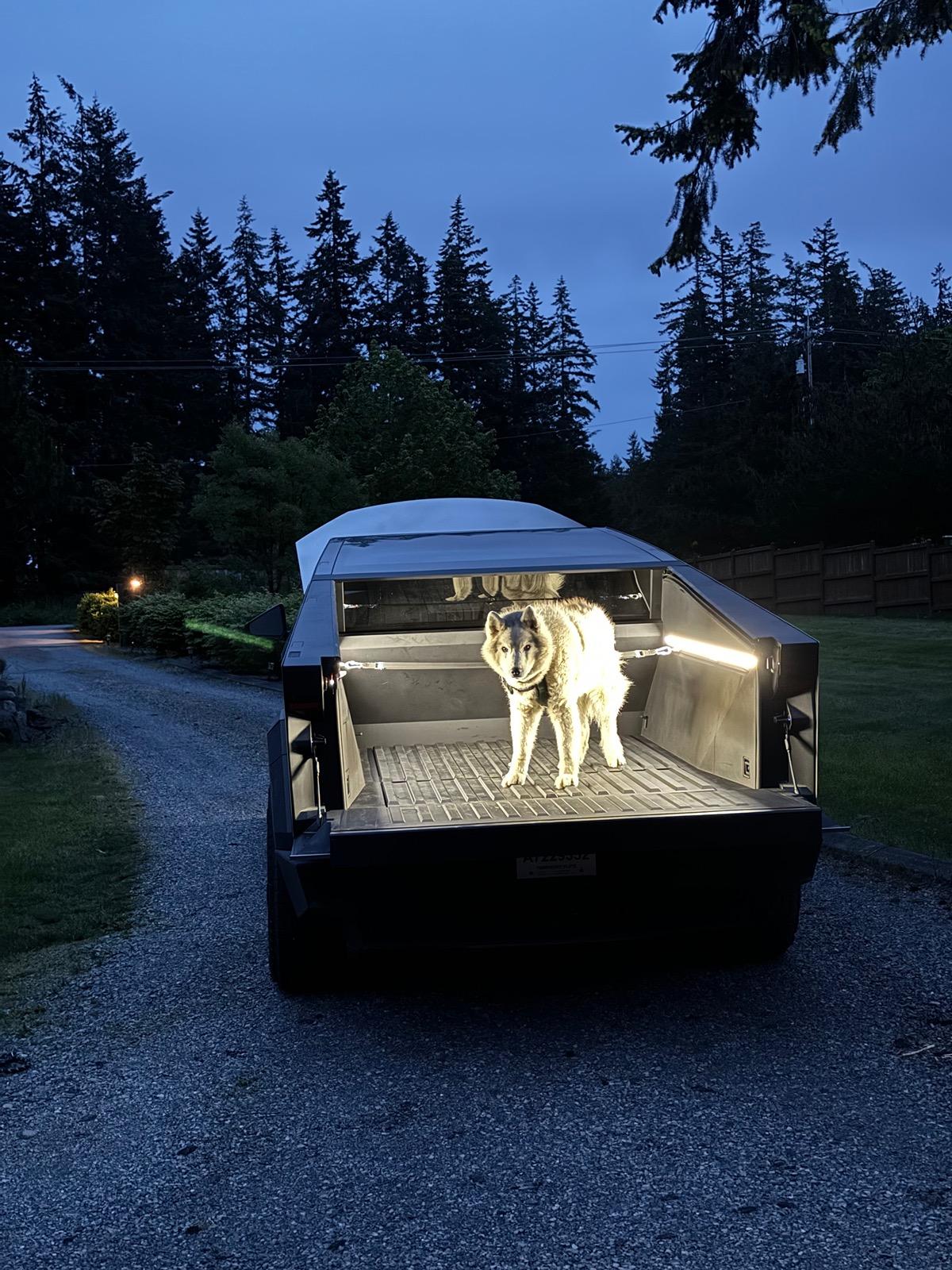Tesla Cybertruck Daily random Cybertruck photos thread - Post Yours! 📸 🤳 IMG_5450