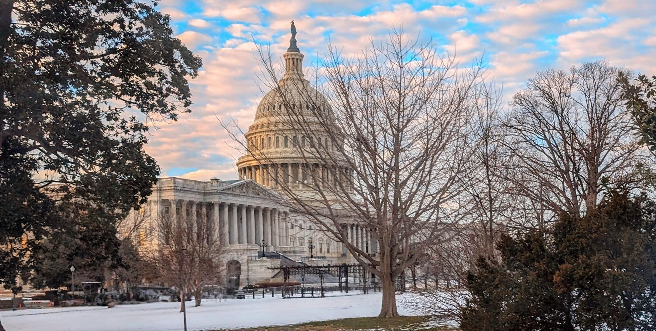Tesla Cybertruck Background worthy pictures! 20240122Capitol Building.MP~4