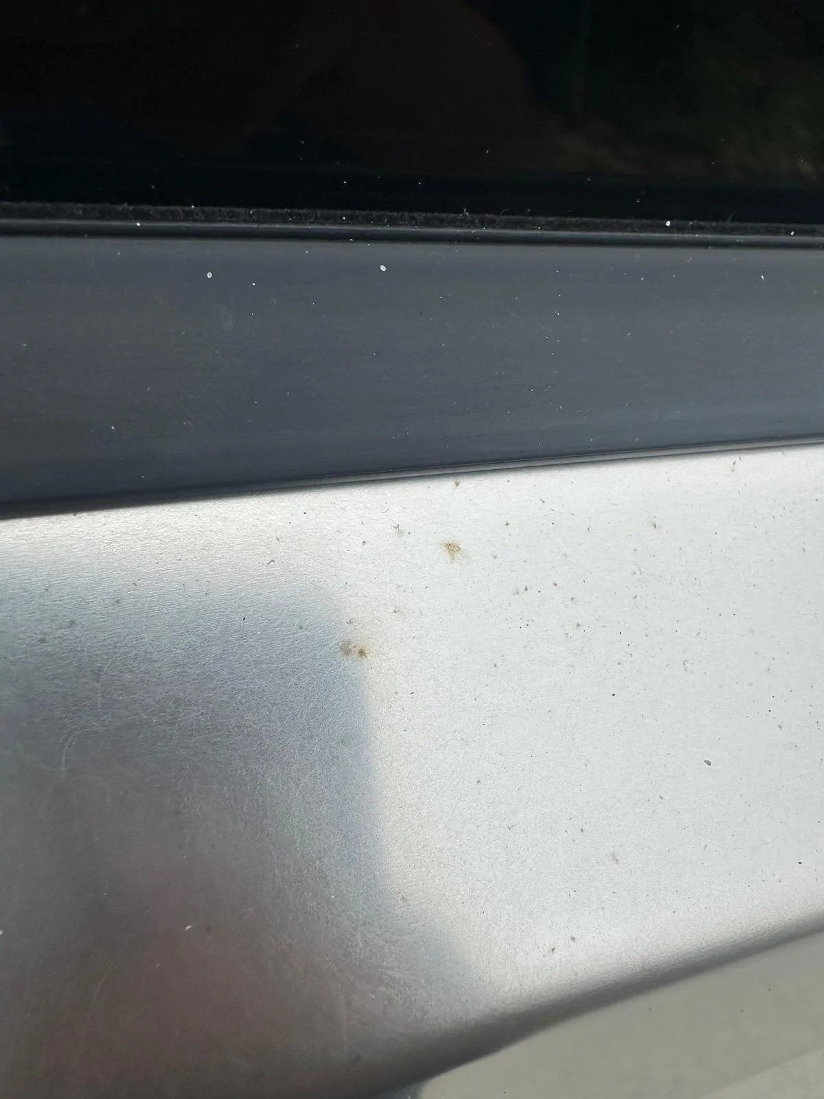 Tesla Cybertruck Cleaning - BKF not working -scrub harder? IMG_4610