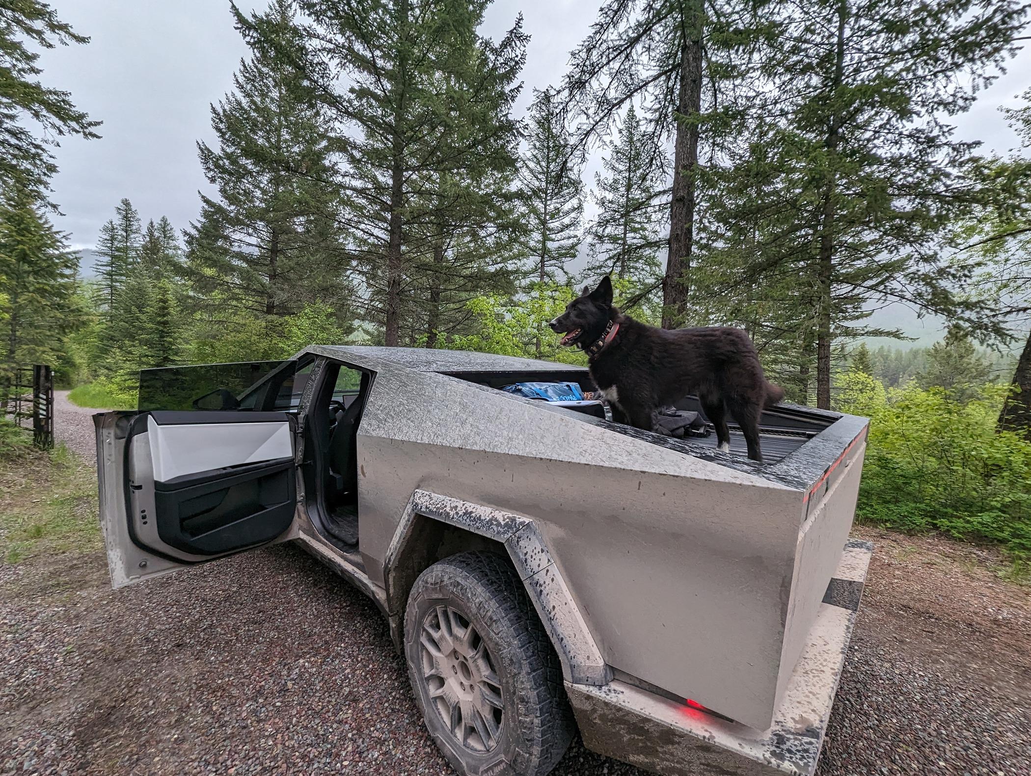 Tesla Cybertruck Daily random Cybertruck photos thread - Post Yours! 📸 🤳 PXL_20240604_225603318
