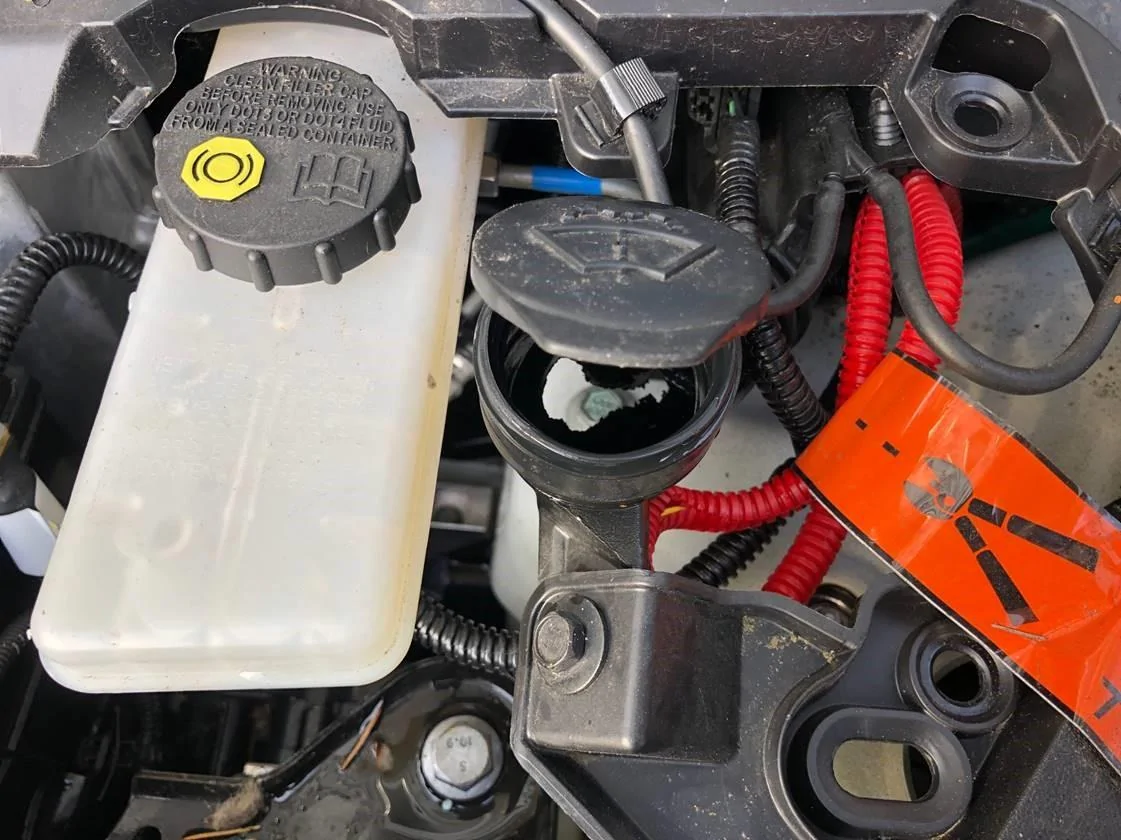 Tesla Cybertruck Wire Eating Rats rat