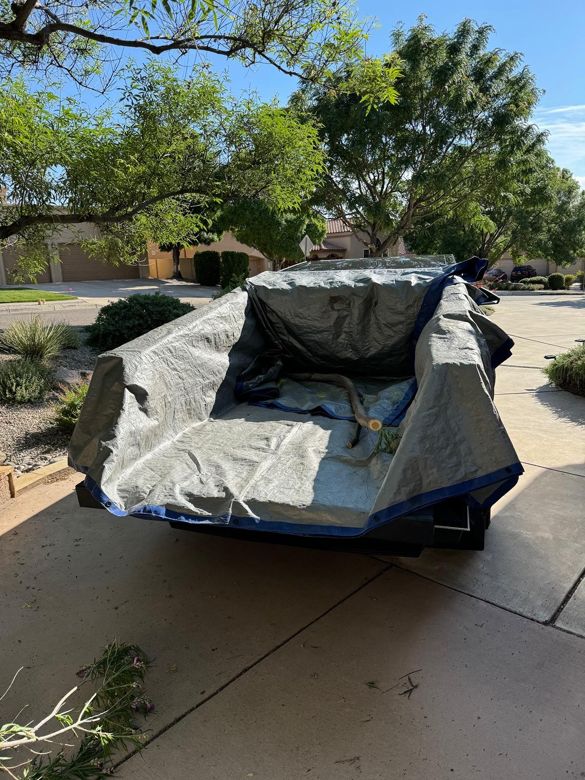 Tesla Cybertruck What Are You Hauling in your Cybertruck? 🦾 👷‍♂️ IMG_0604