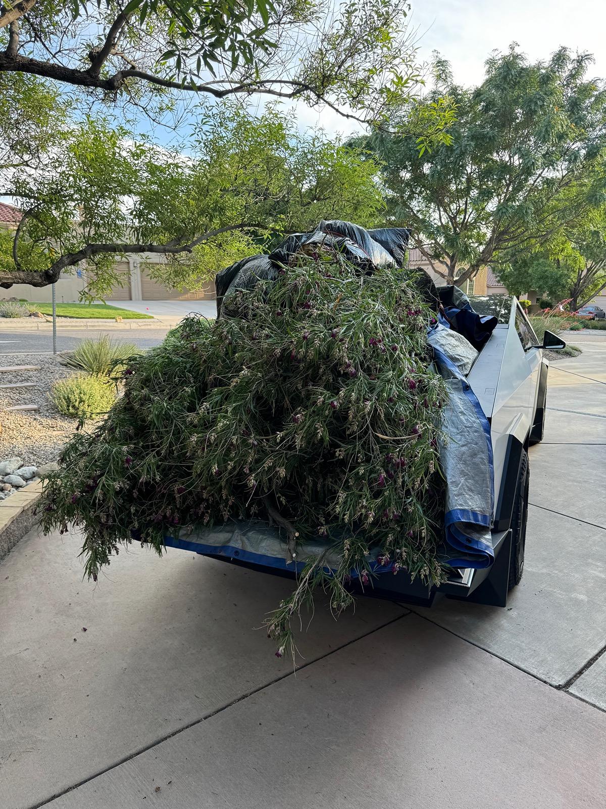 Tesla Cybertruck What Are You Hauling in your Cybertruck? 🦾 👷‍♂️ IMG_0609