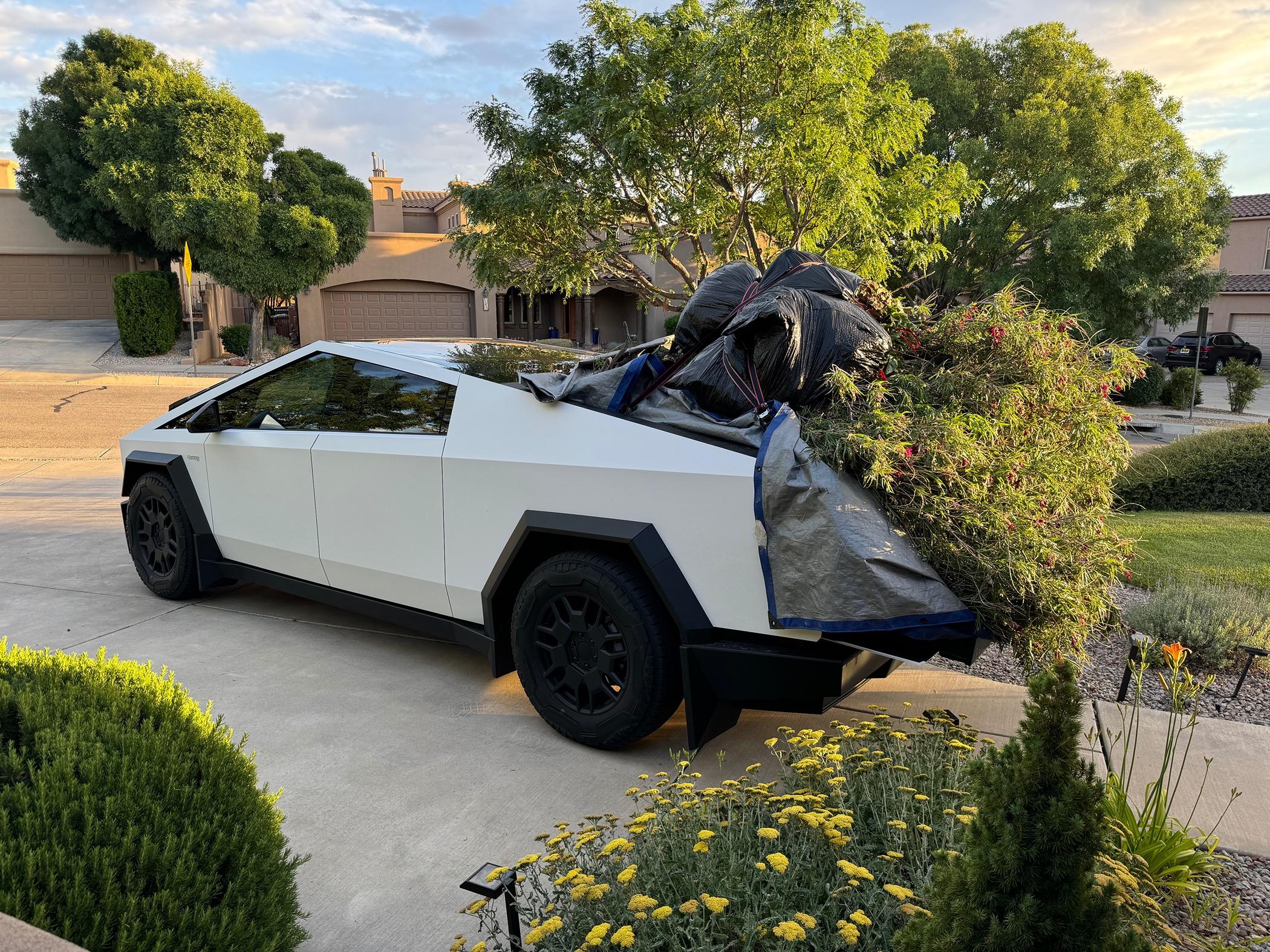 Tesla Cybertruck What Are You Hauling in your Cybertruck? 🦾 👷‍♂️ IMG_0613