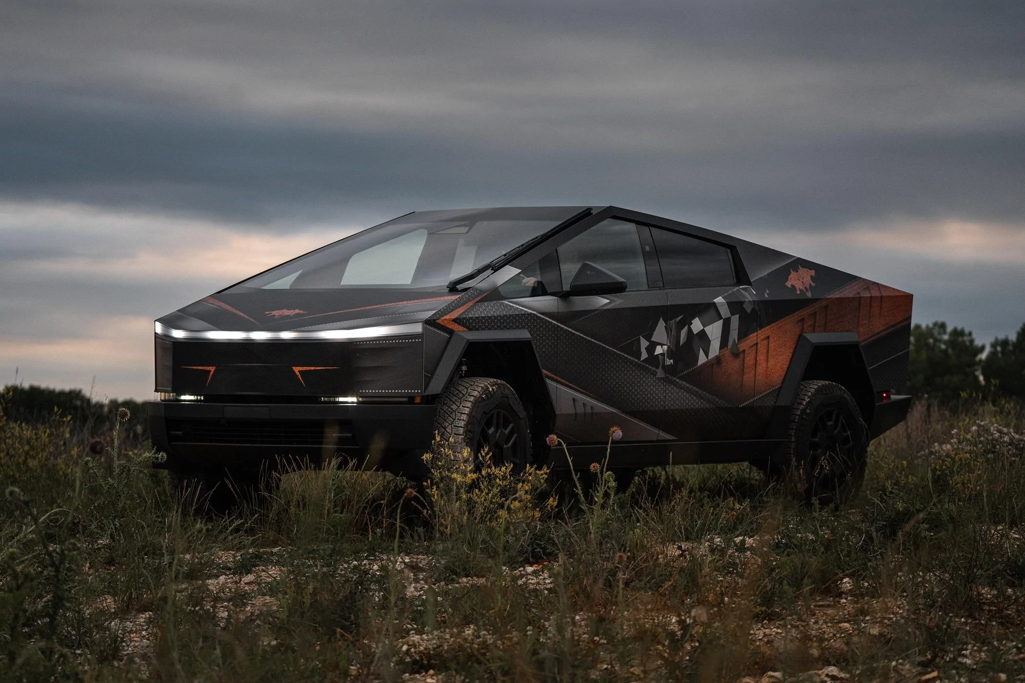 Tesla Cybertruck My CyberTruck and brakes calipers wrapped + windows tinted Tesla 6