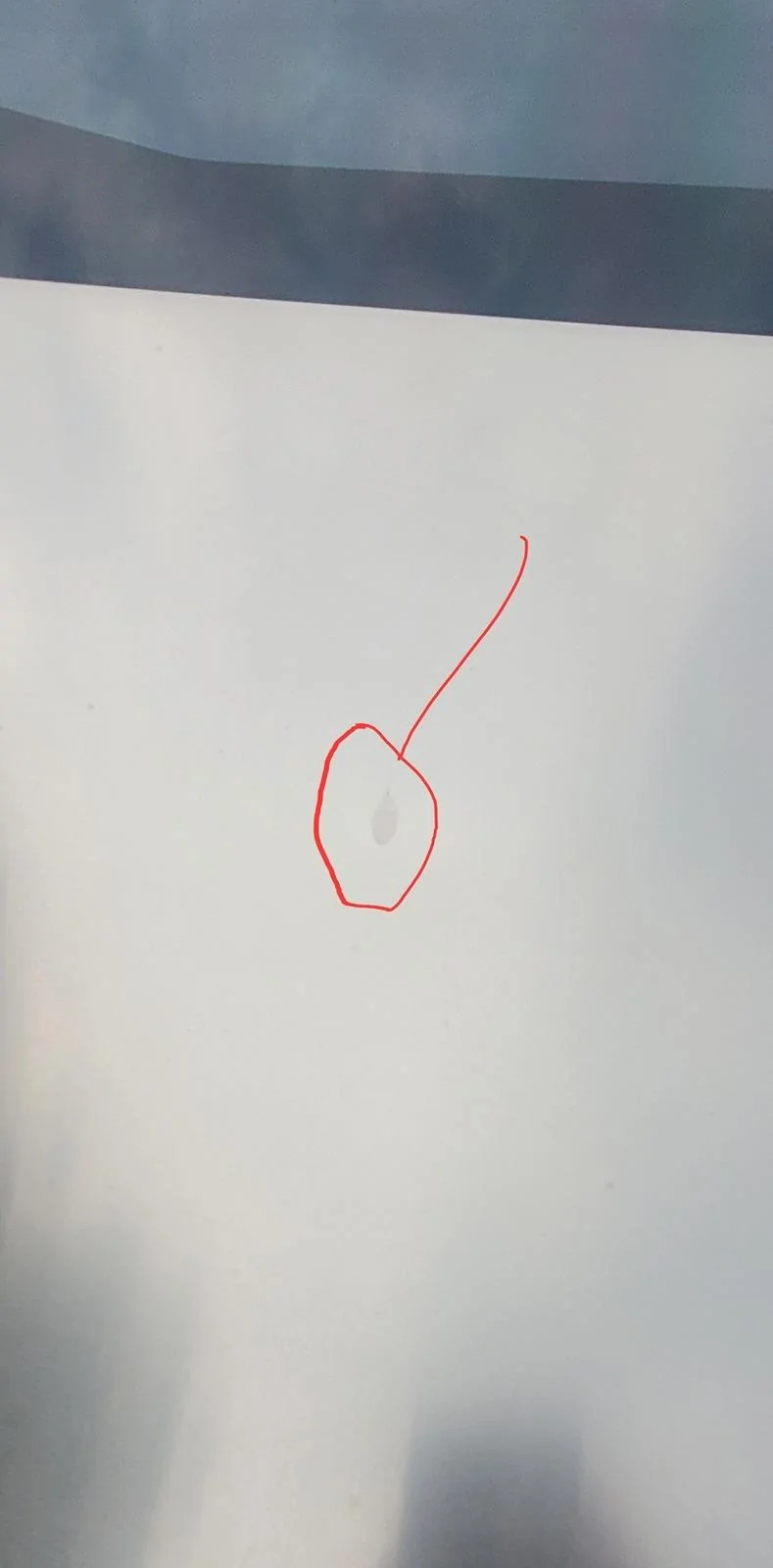 Tesla Cybertruck Blemishes - Need Advice Screenshot_20240624_075741_Gallery