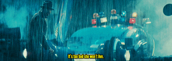 IMG_6986.gif