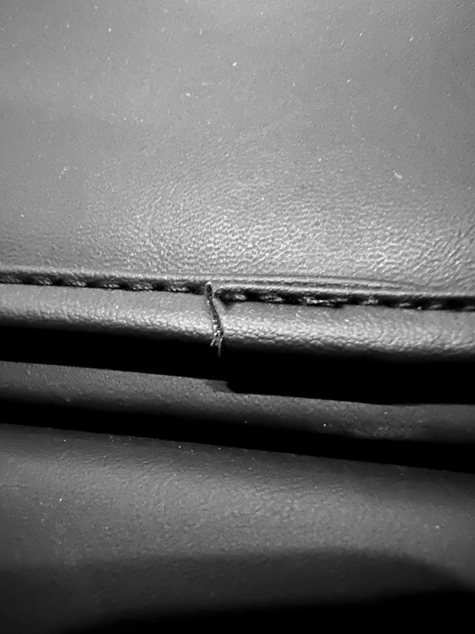 Tesla Cybertruck BestEvMod Armrest Pad Cover IMG_1823