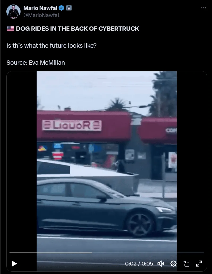 Tesla Cybertruck Travel With Our Dog In The Vault? Any Suitable Solutions? 1719799127459-h0