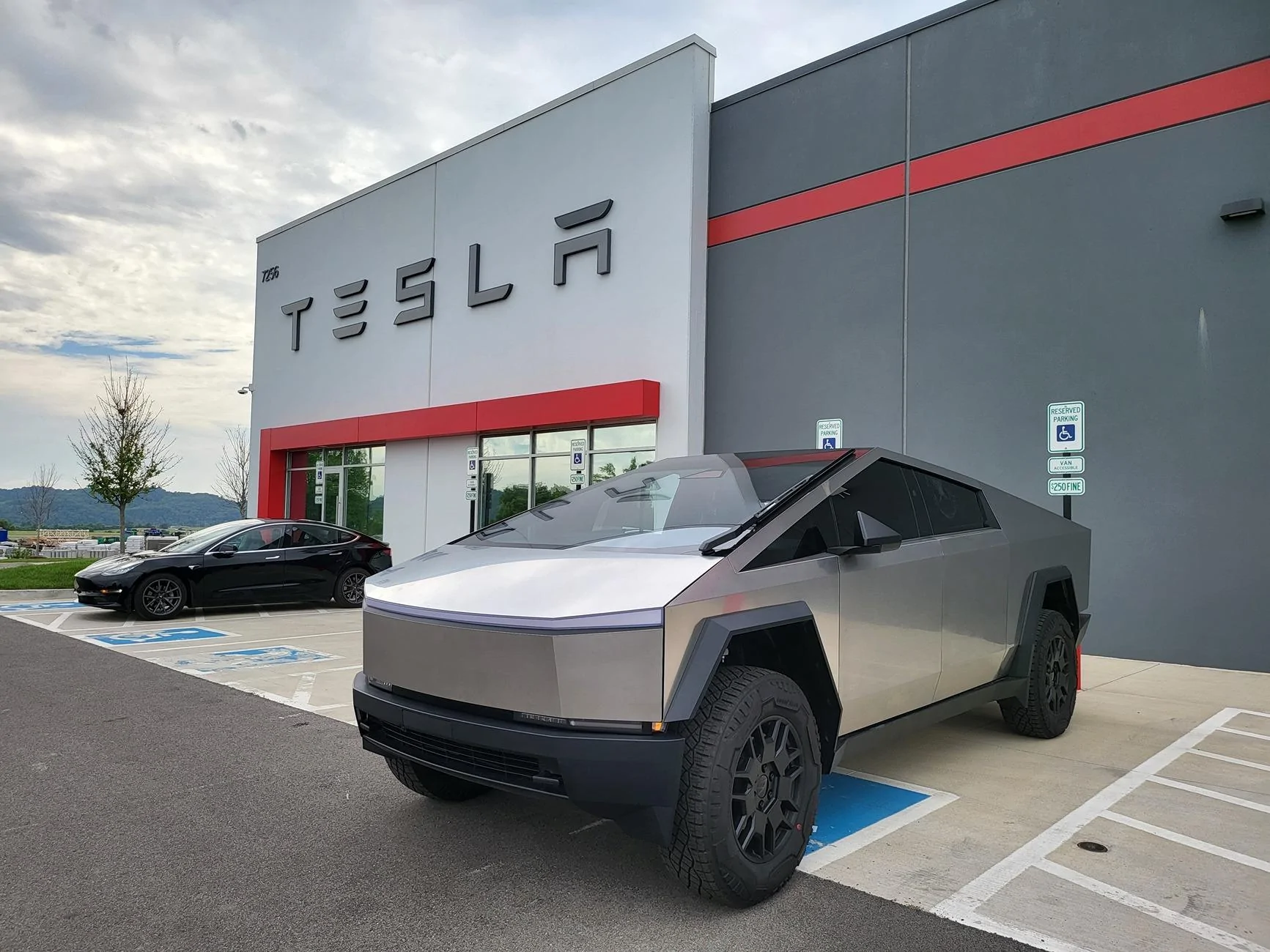 Tesla Cybertruck Cybertruck -1 🥊 Deer -0 20240619_155436