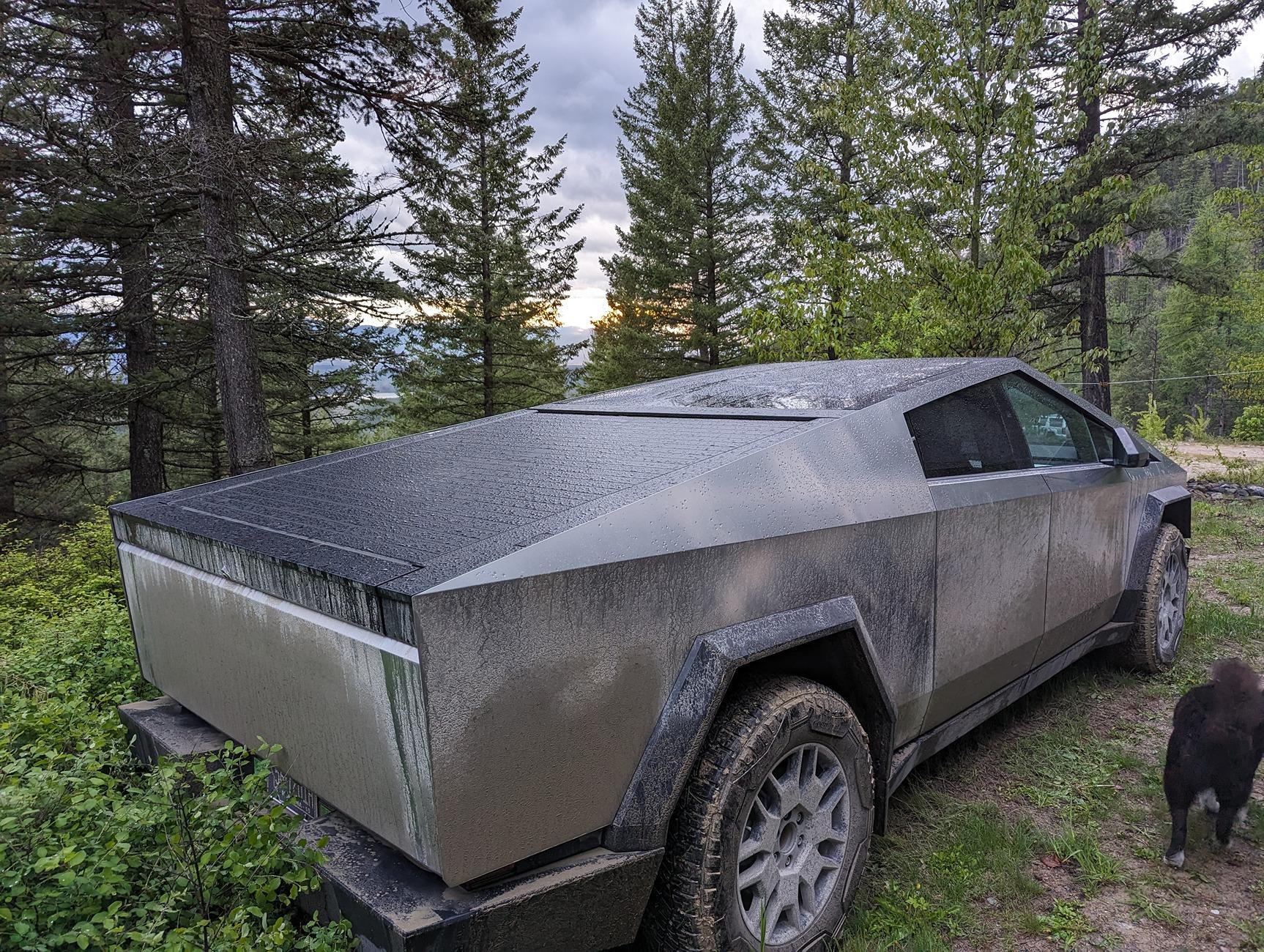 Tesla Cybertruck My "Montana Wrap" PXL_20240523_030114465 (1)
