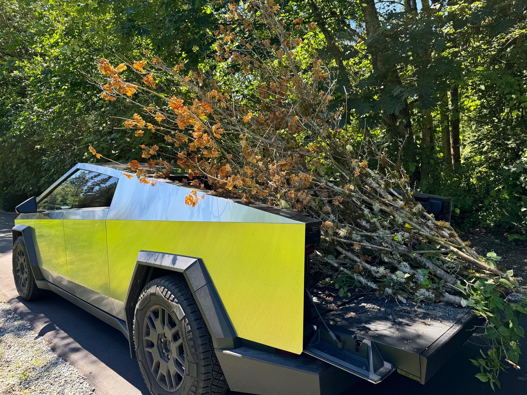 Tesla Cybertruck Daily random Cybertruck photos thread - Post Yours! 📸 🤳 IMG_9444