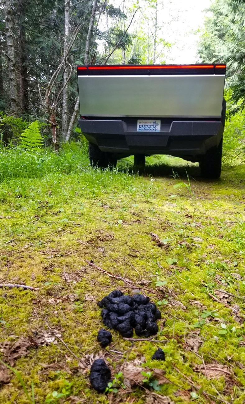 Tesla Cybertruck Daily random Cybertruck photos thread - Post Yours! 📸 🤳 20240612_143140adsm