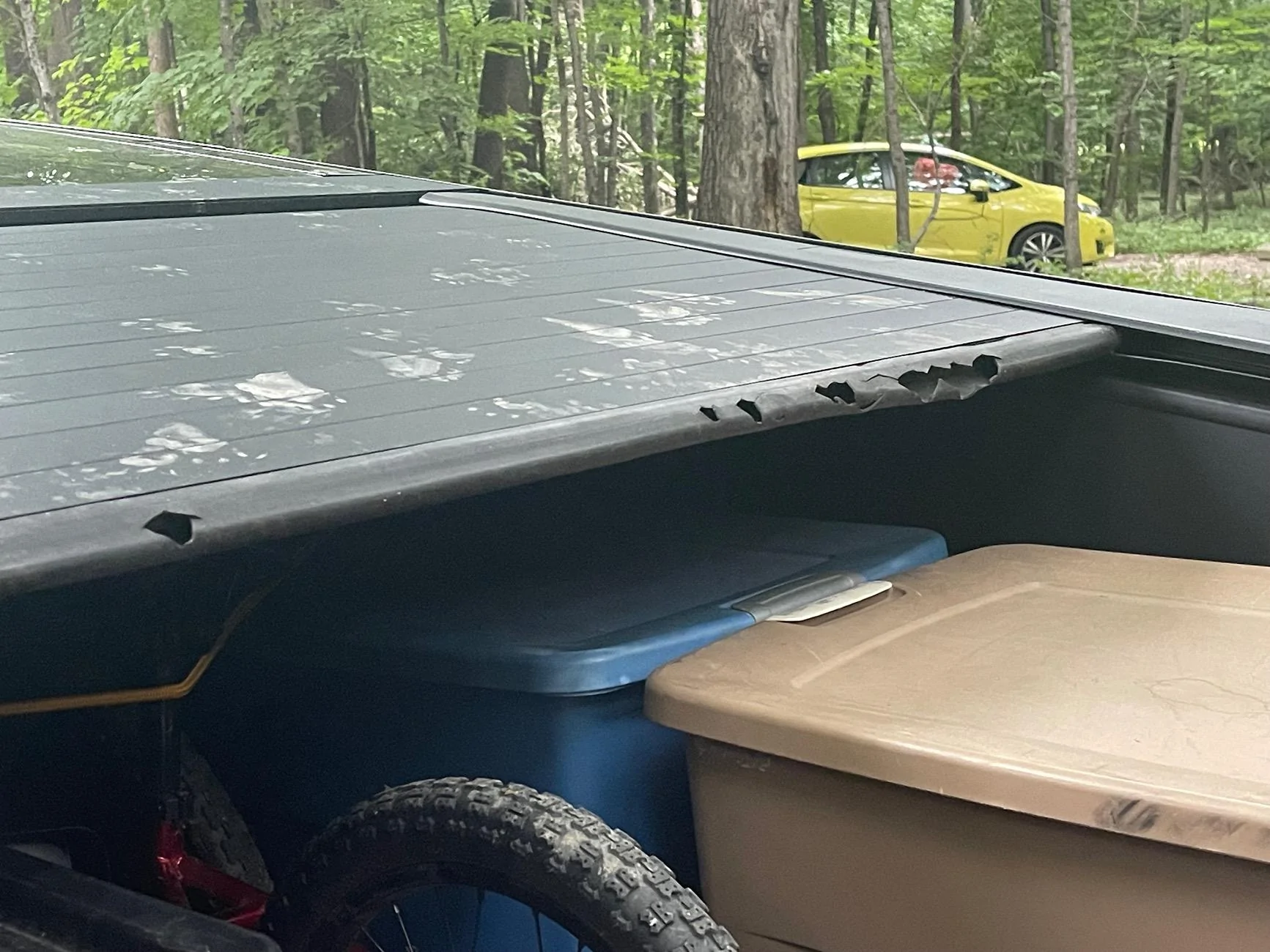 Tesla Cybertruck Raccoon Damages Cybertruck Bed Vault Tonneau Cover IMG_8649