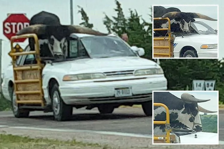 Tesla Cybertruck Cybertruck handled 4000lbs of bricks in the bed at 65mph \ 490kwh IMG_0881