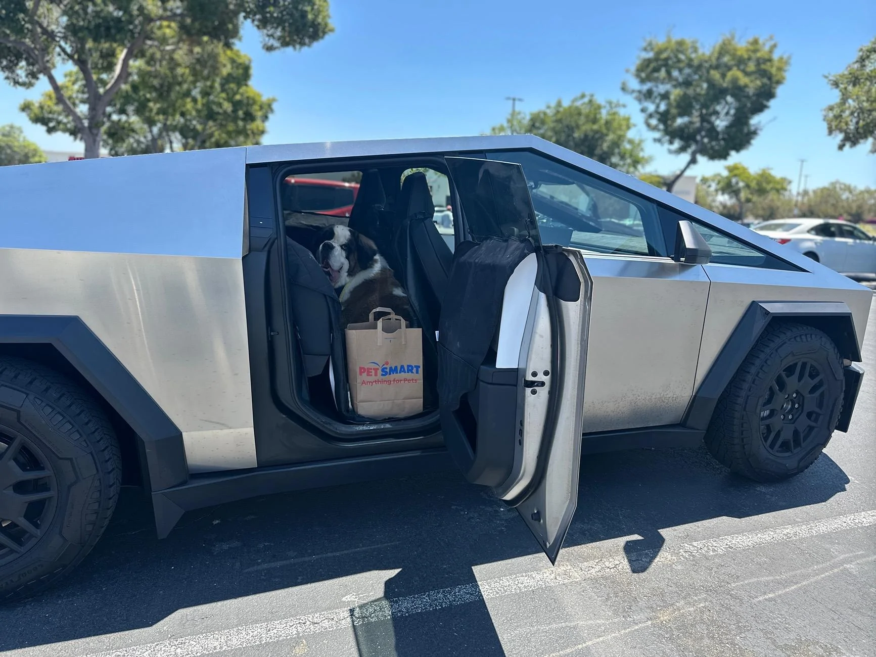 Tesla Cybertruck PSA: Dog Mode unsecure!! Door opened by dogs IMG_1122