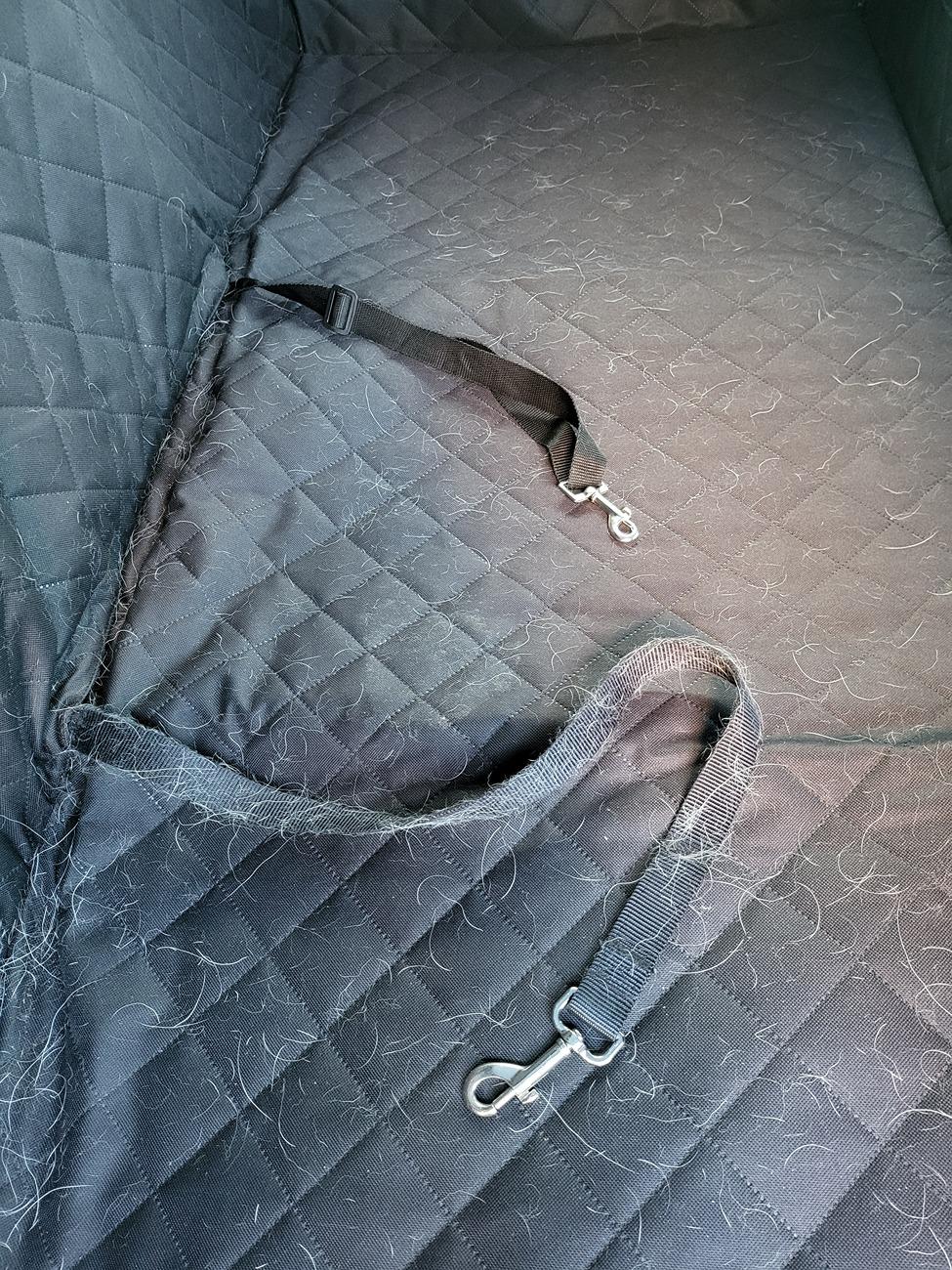 Tesla Cybertruck PSA: Dog Mode unsecure!! Door opened by dogs 20240722_070803