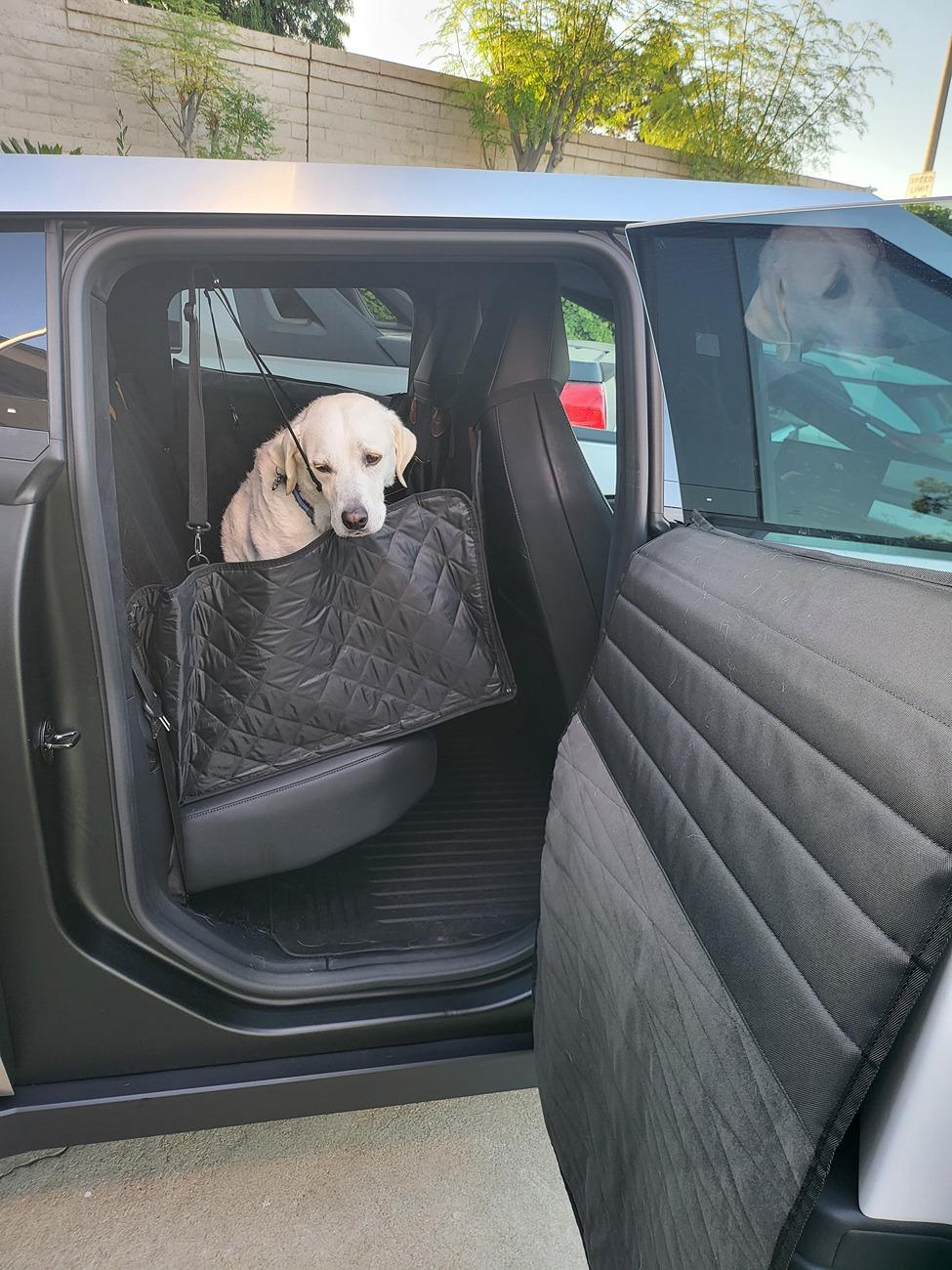 Tesla Cybertruck PSA: Dog Mode unsecure!! Door opened by dogs 20240722_071103