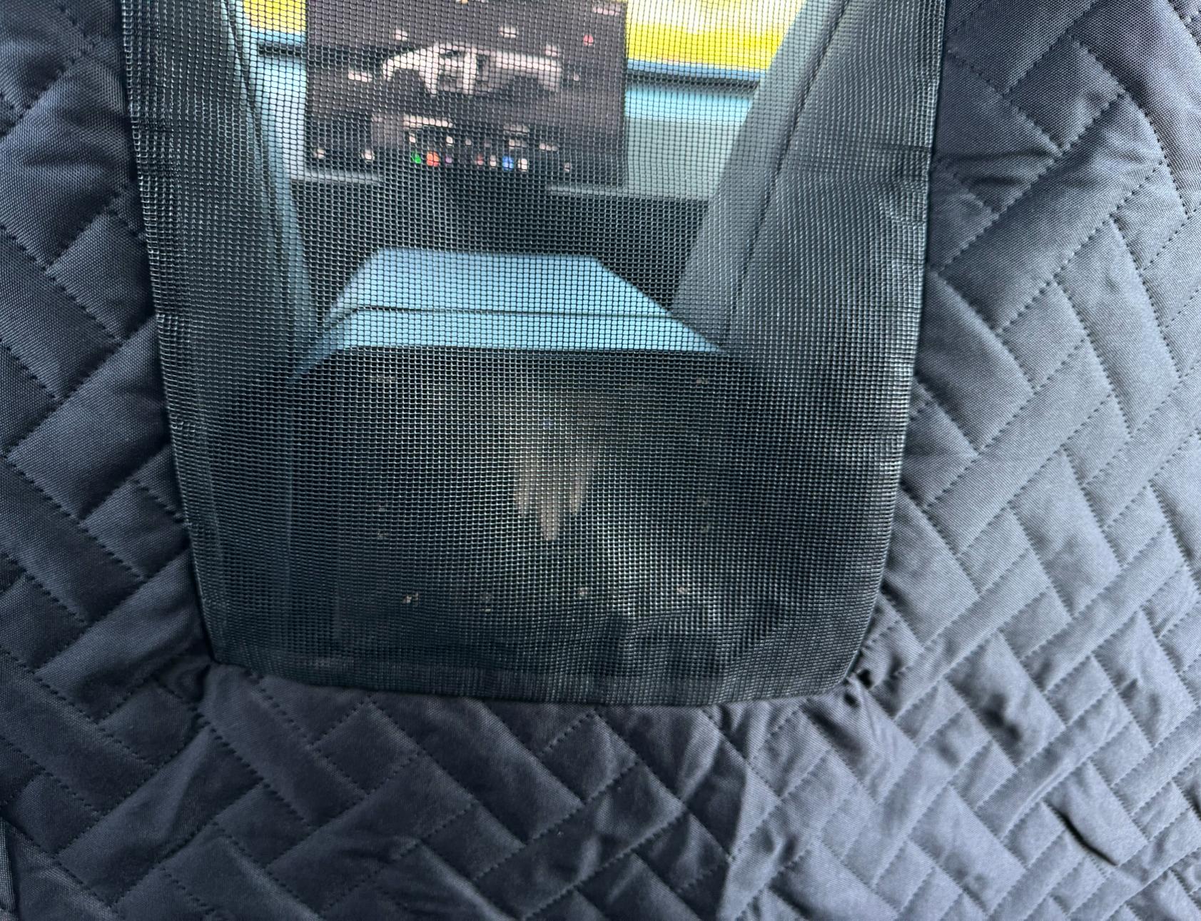 Tesla Cybertruck UranusWander (Previously MarsAccs) Pet Cover v0.2.0 Updates IMG_6471