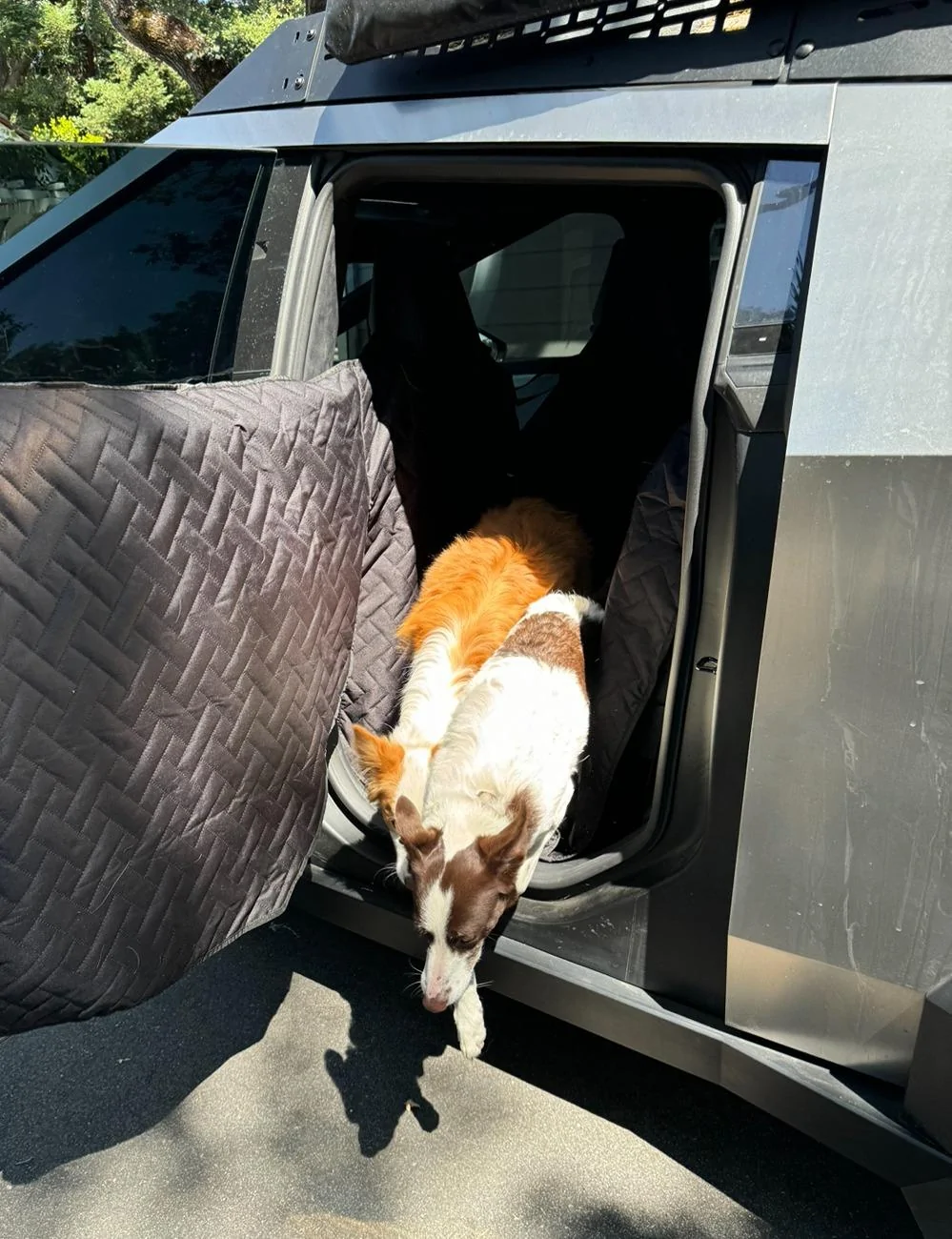 Tesla Cybertruck UranusWander (Previously MarsAccs) Pet Cover v0.2.0 Updates IMG_6479