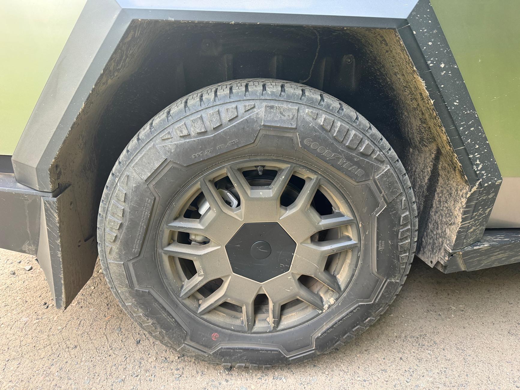 Tesla Cybertruck Off roading & full sending = amazing IMG_1278