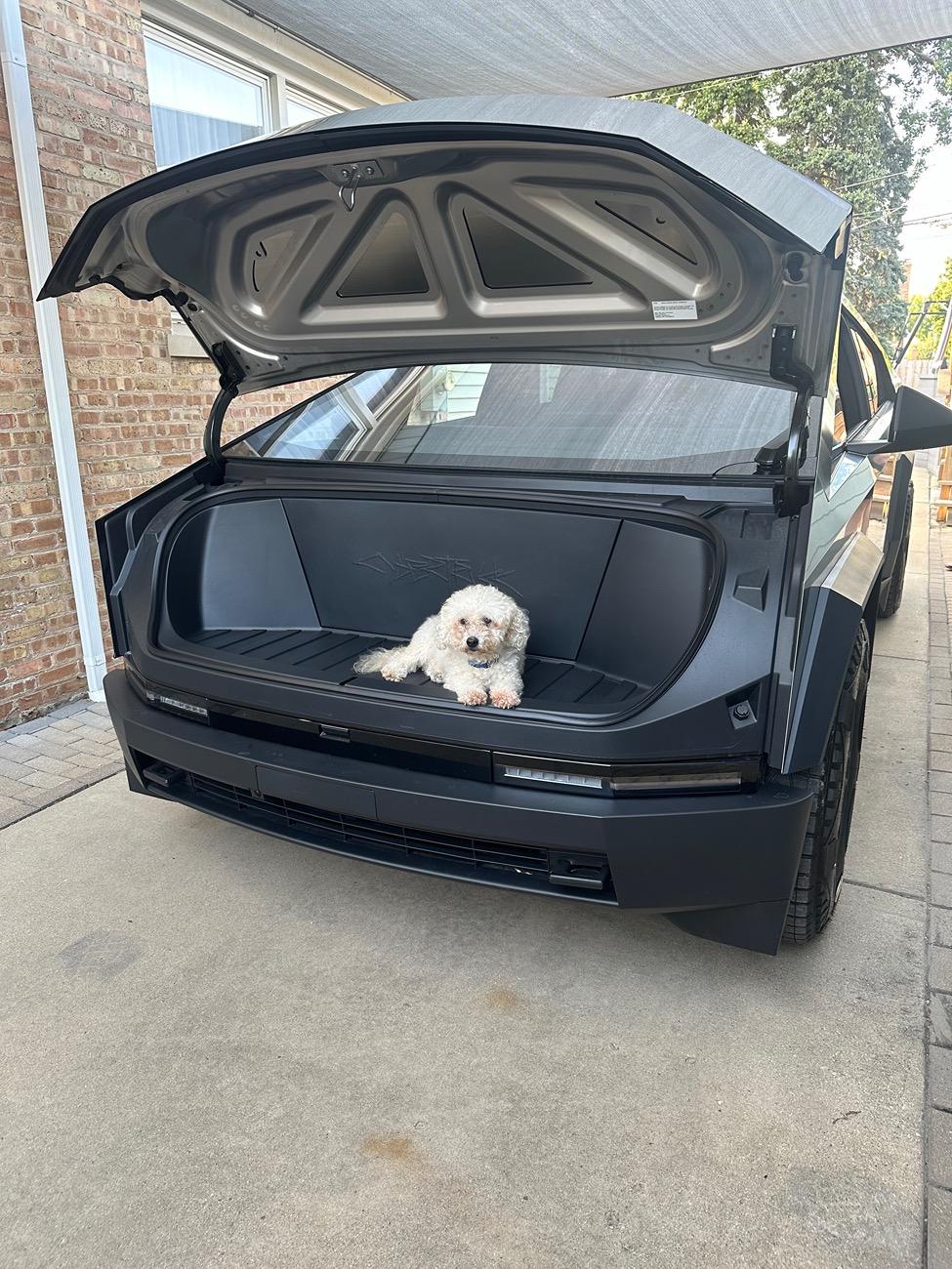Tesla Cybertruck Daily random Cybertruck photos thread - Post Yours! 📸 🤳 IMG_1071