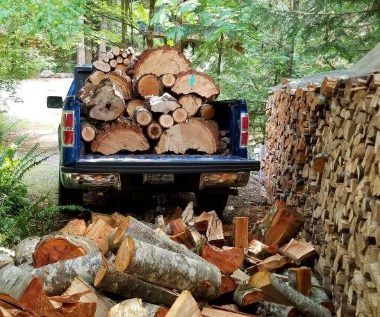 Tesla Cybertruck Eight Foot Bed on Cybertruck DougFir
