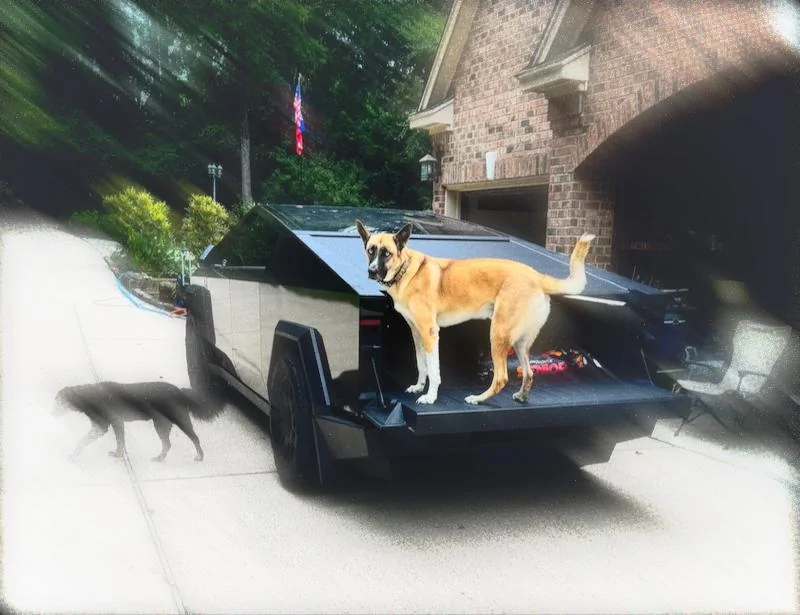 Tesla Cybertruck What Are You Hauling in your Cybertruck? 🦾 👷‍♂️ Thor the CyberDog